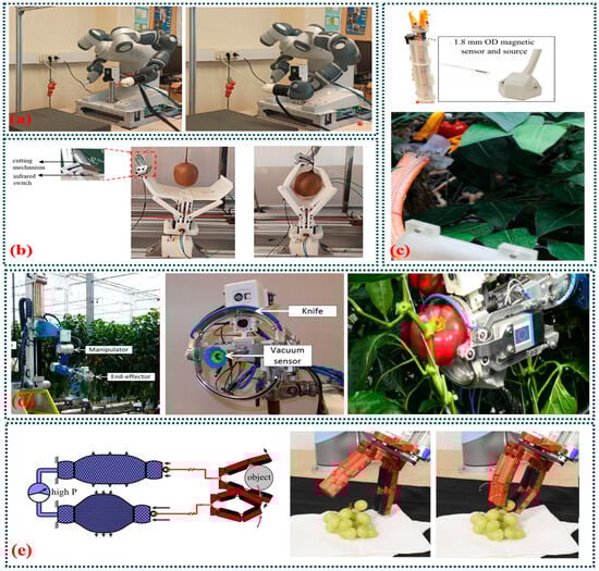 Agriculture 14 01346 g013
