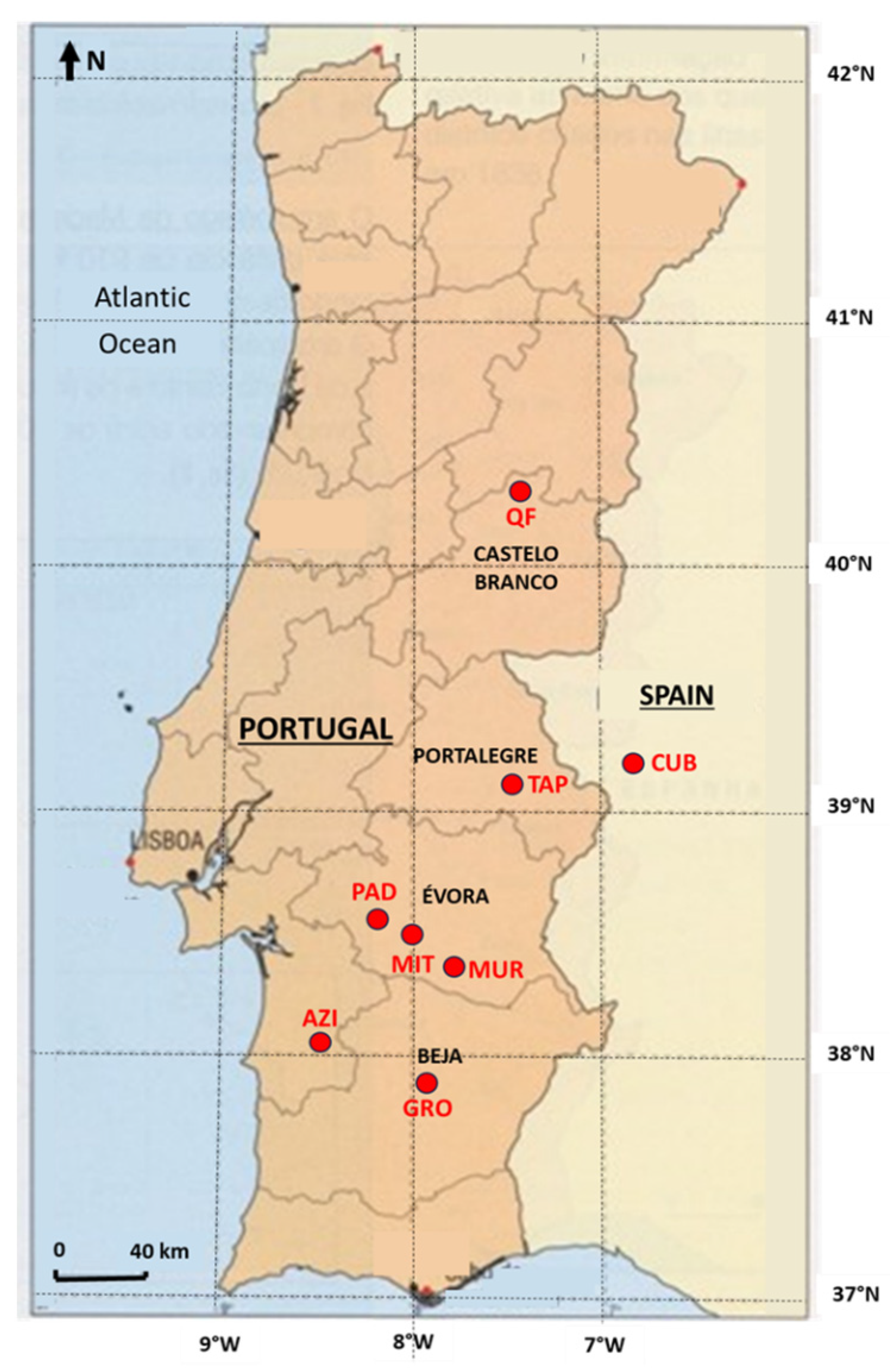 Agriculture 14 01350 g001