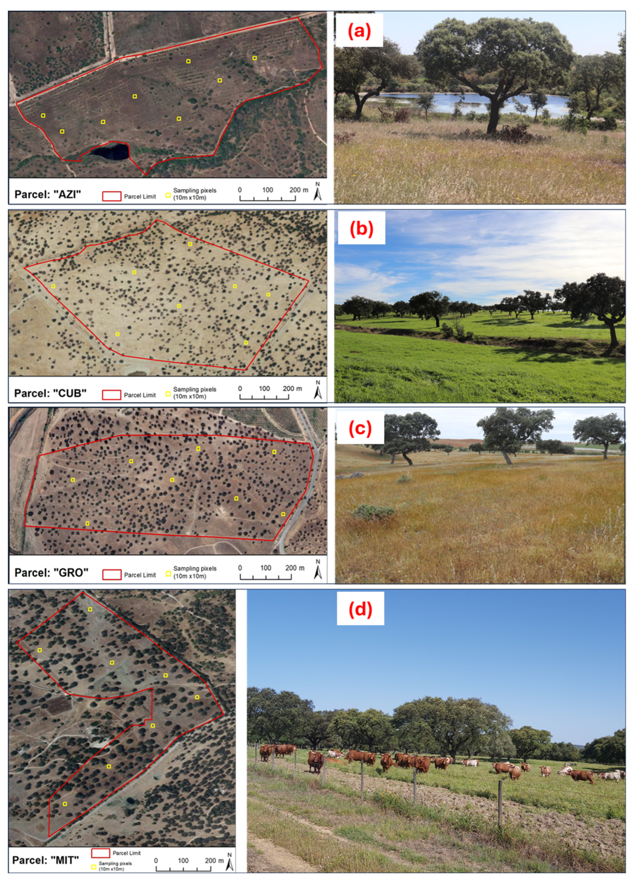 Agriculture 14 01350 g002