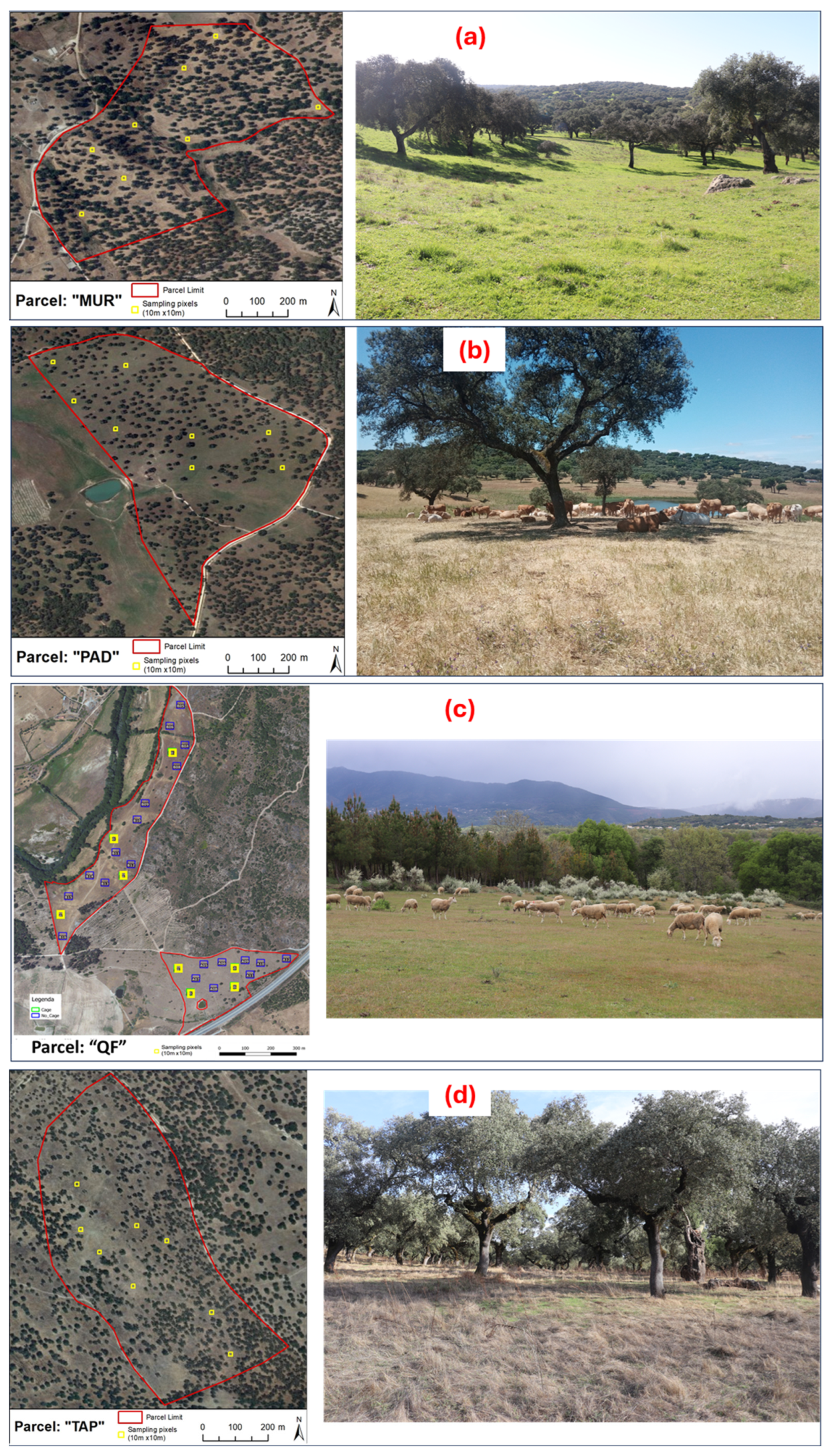 Agriculture 14 01350 g003