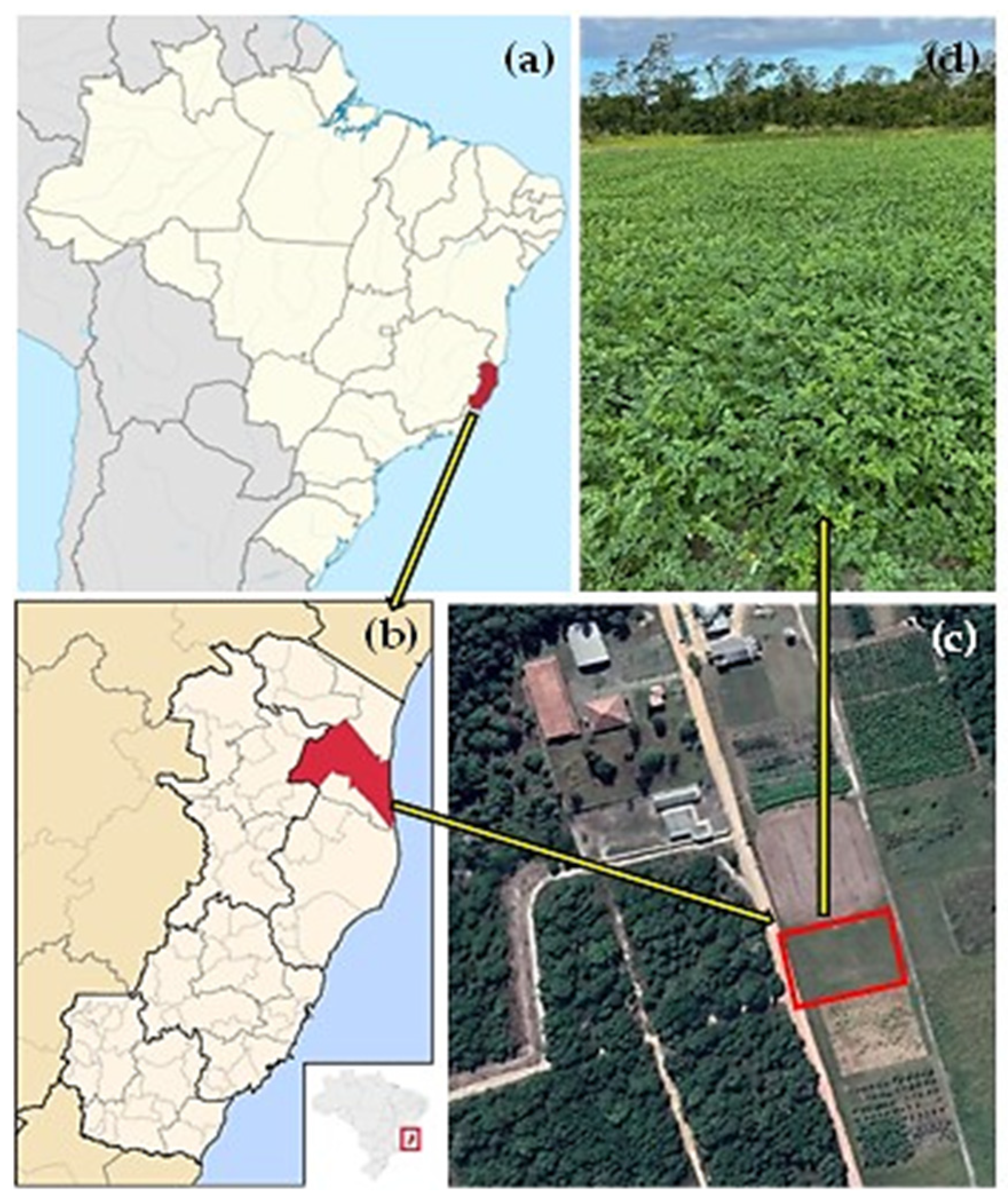 Agriculture 14 01351 g001