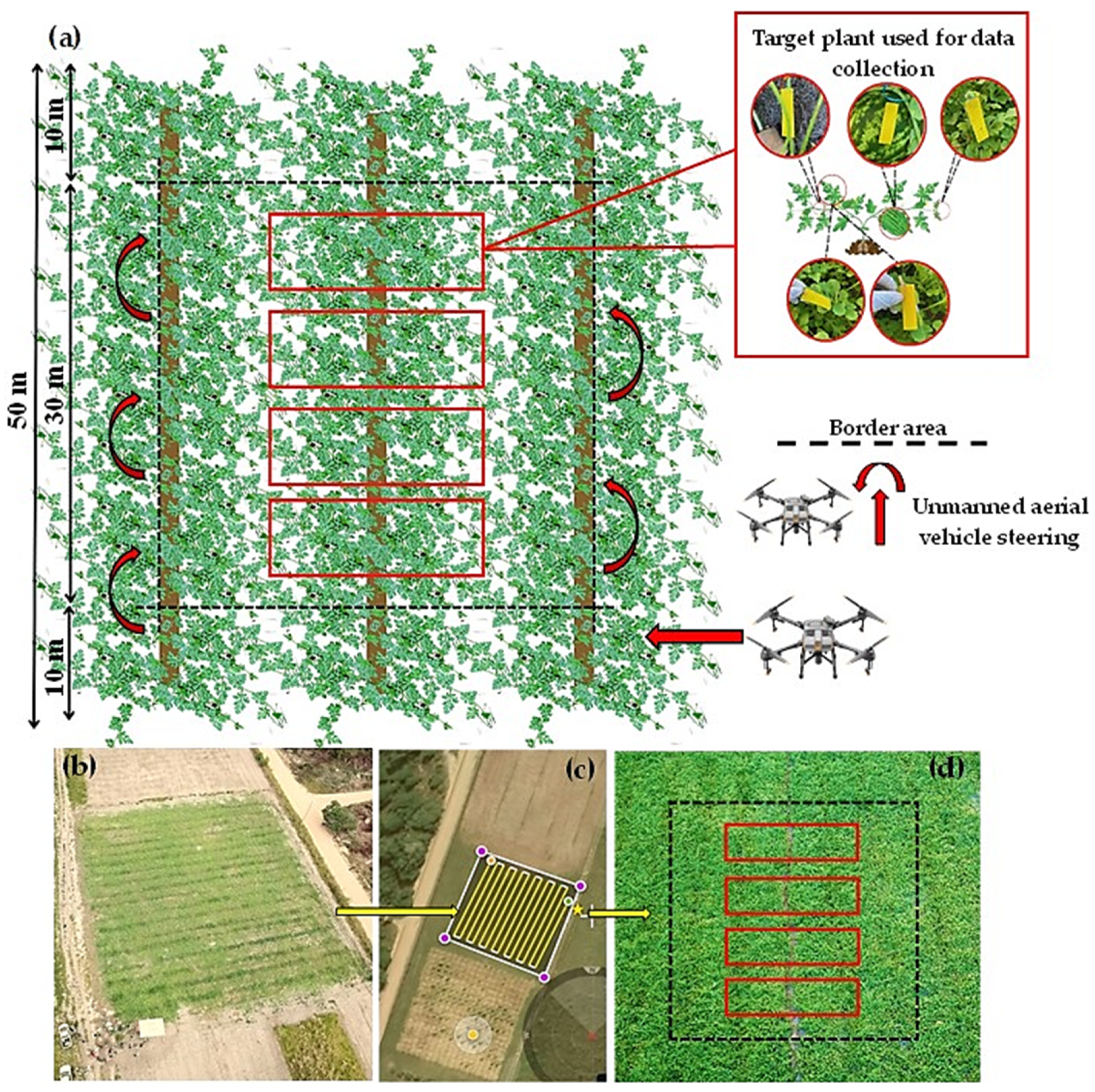 Agriculture 14 01351 g003