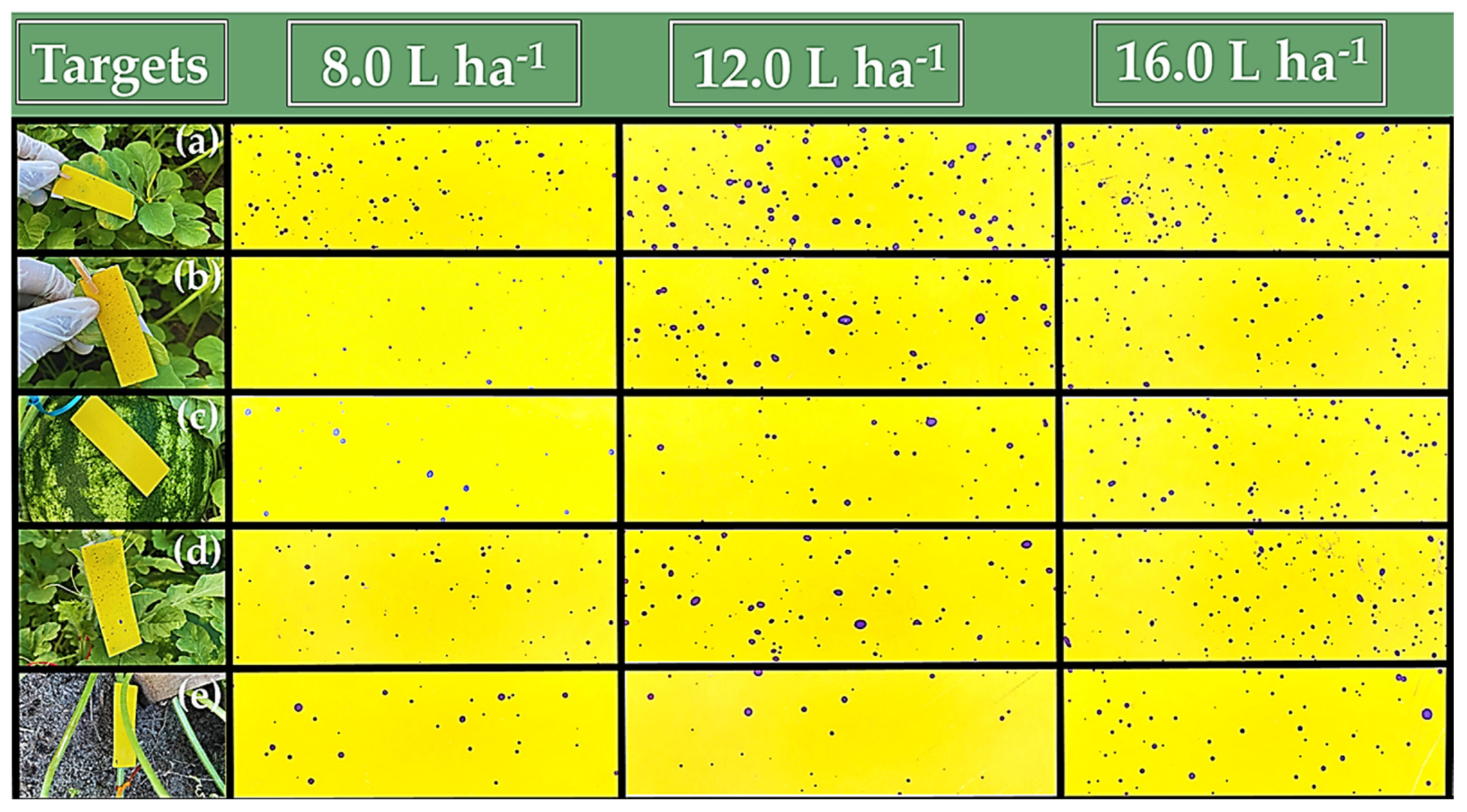 Agriculture 14 01351 g006