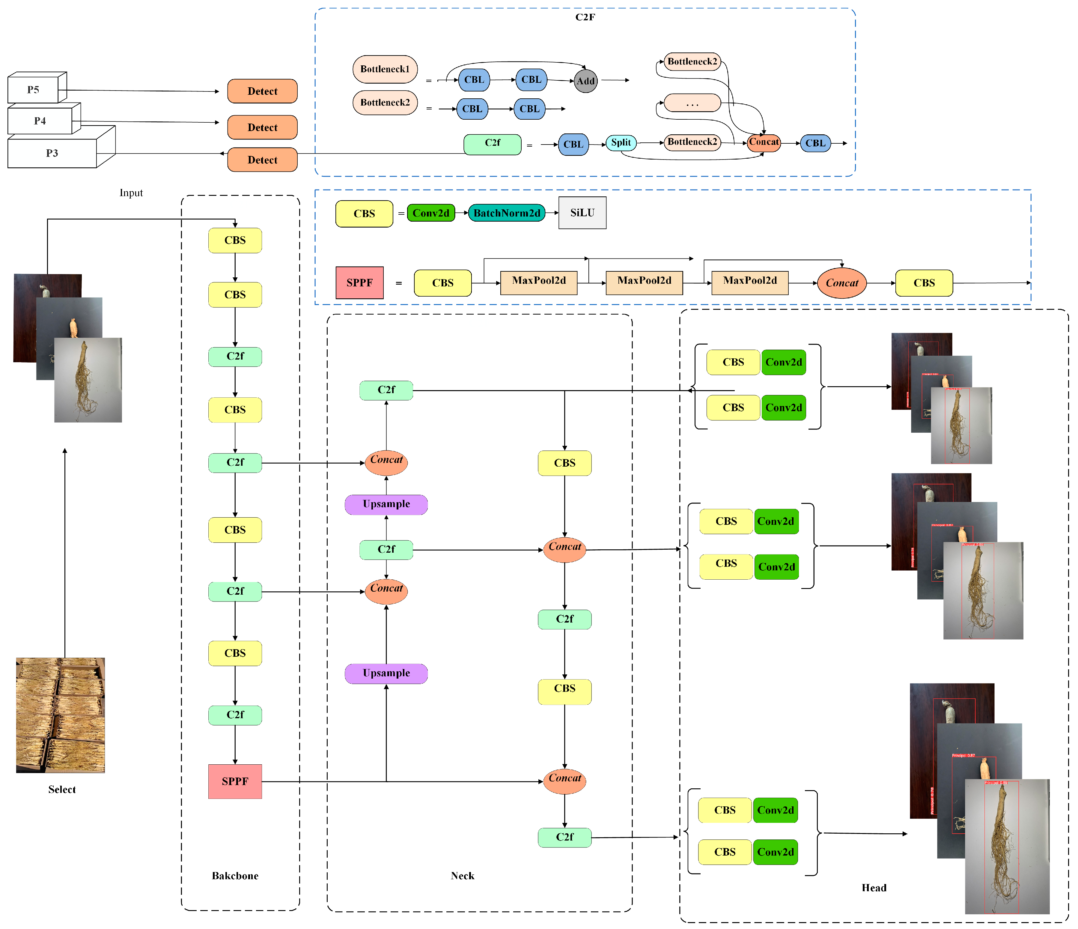 Agriculture 14 01353 g003