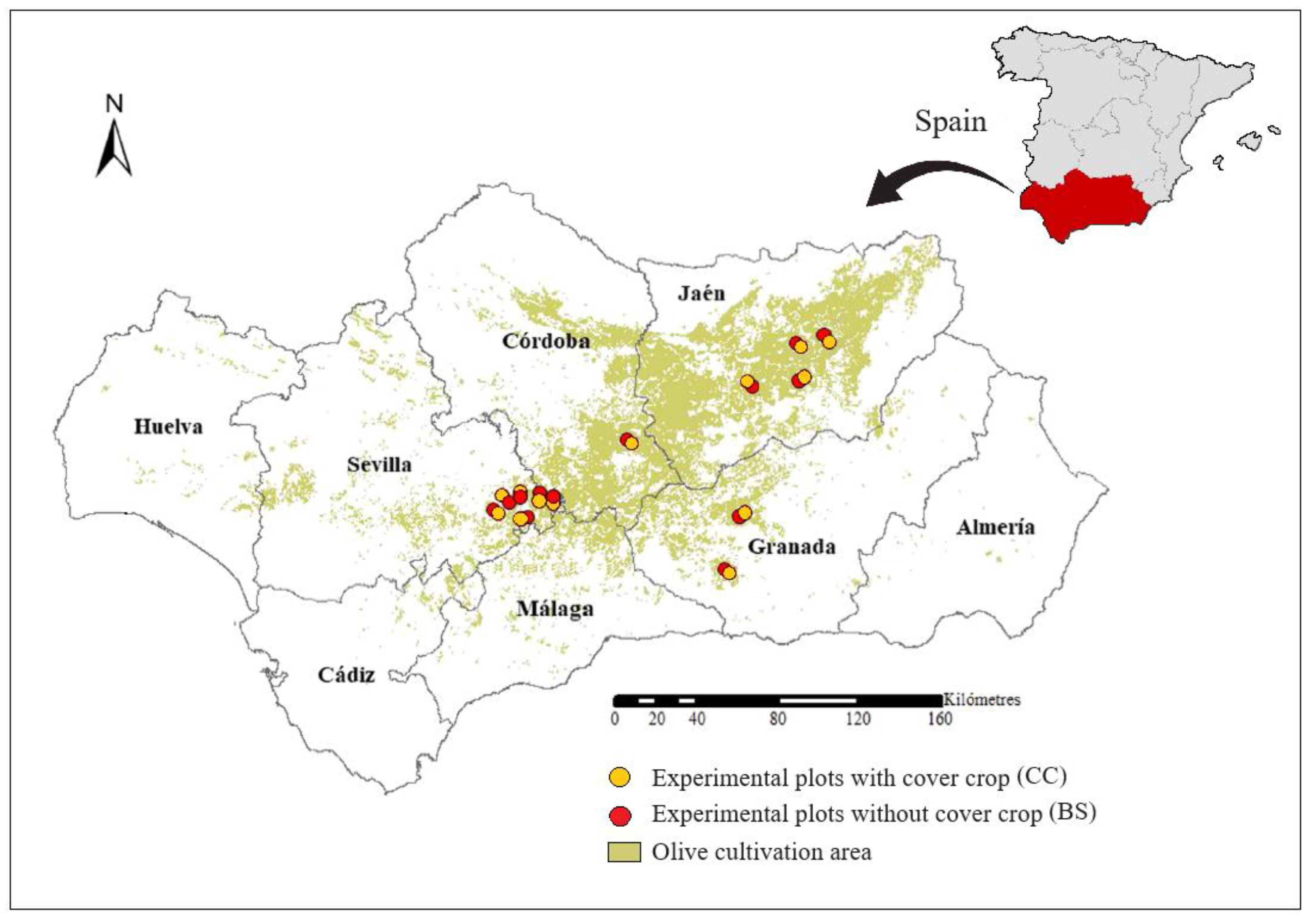Agriculture 14 01354 g001