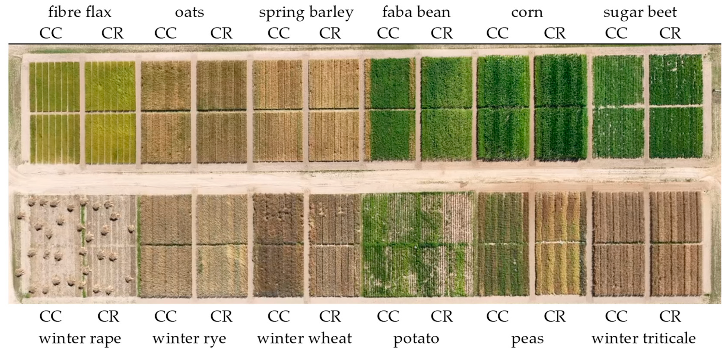 Agriculture 14 01355 g001