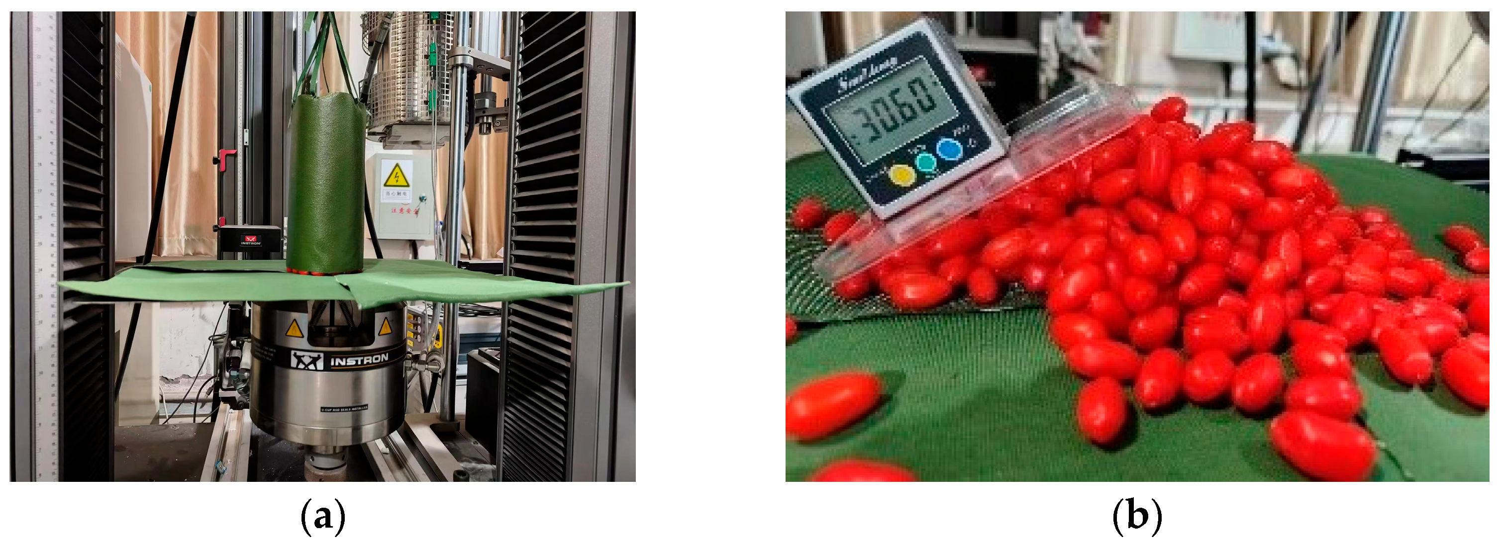 Agriculture 14 01370 g005