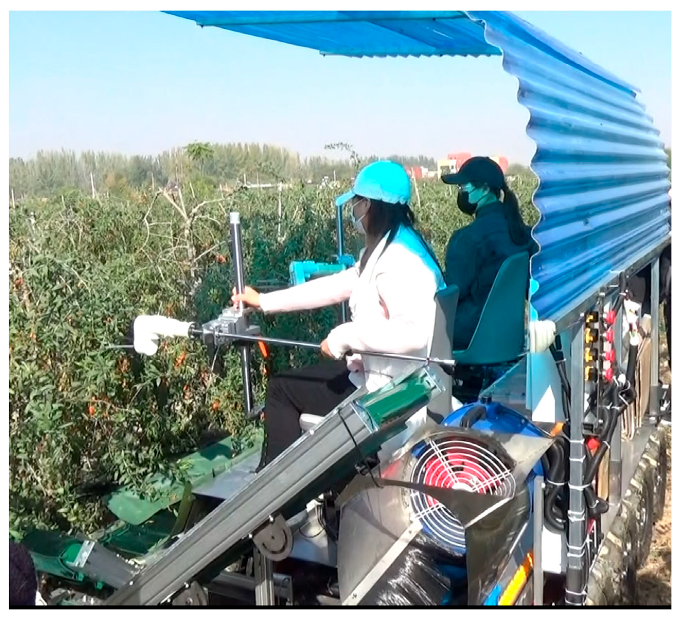 Agriculture 14 01370 g011