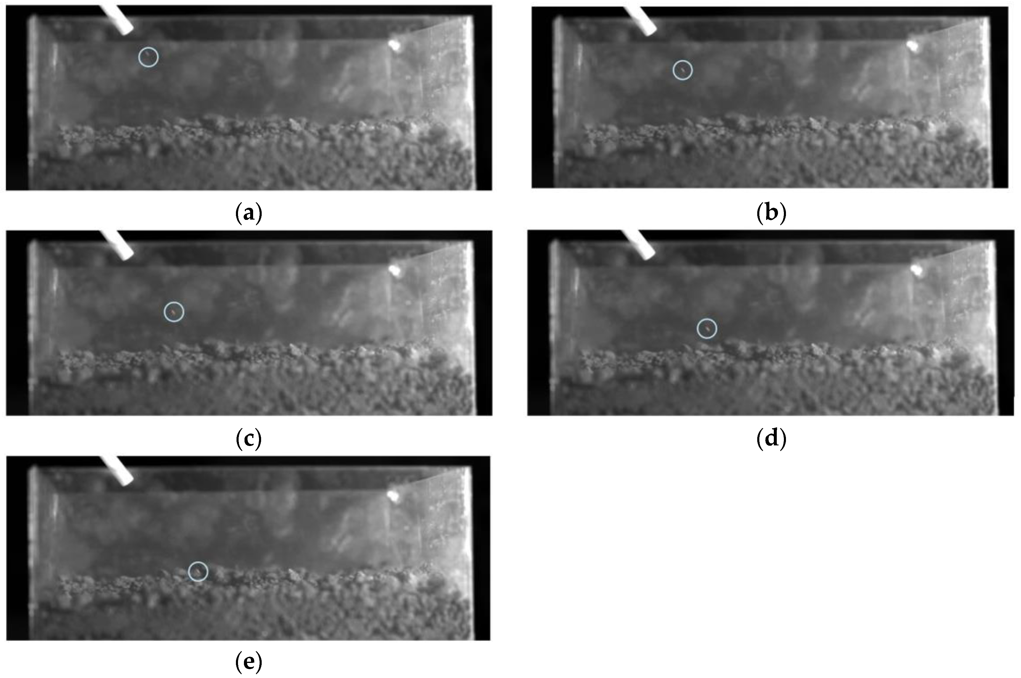 Agriculture 14 01376 g006