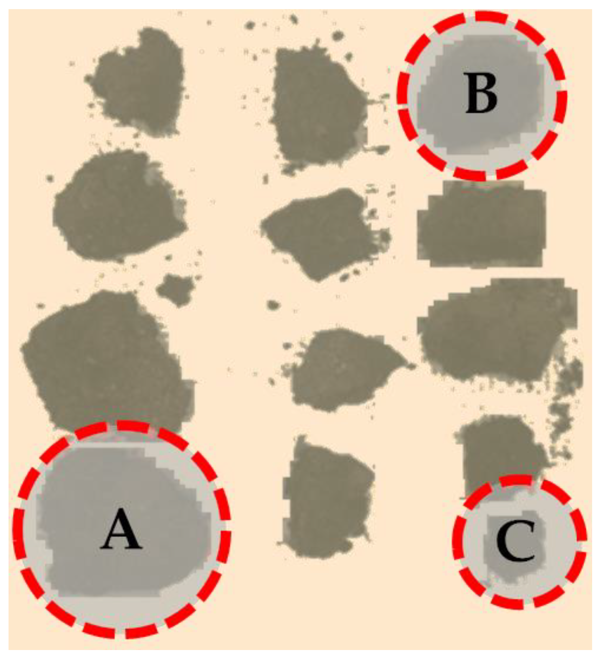 Agriculture 14 01399 g002 Agriculture 14 01399 g002