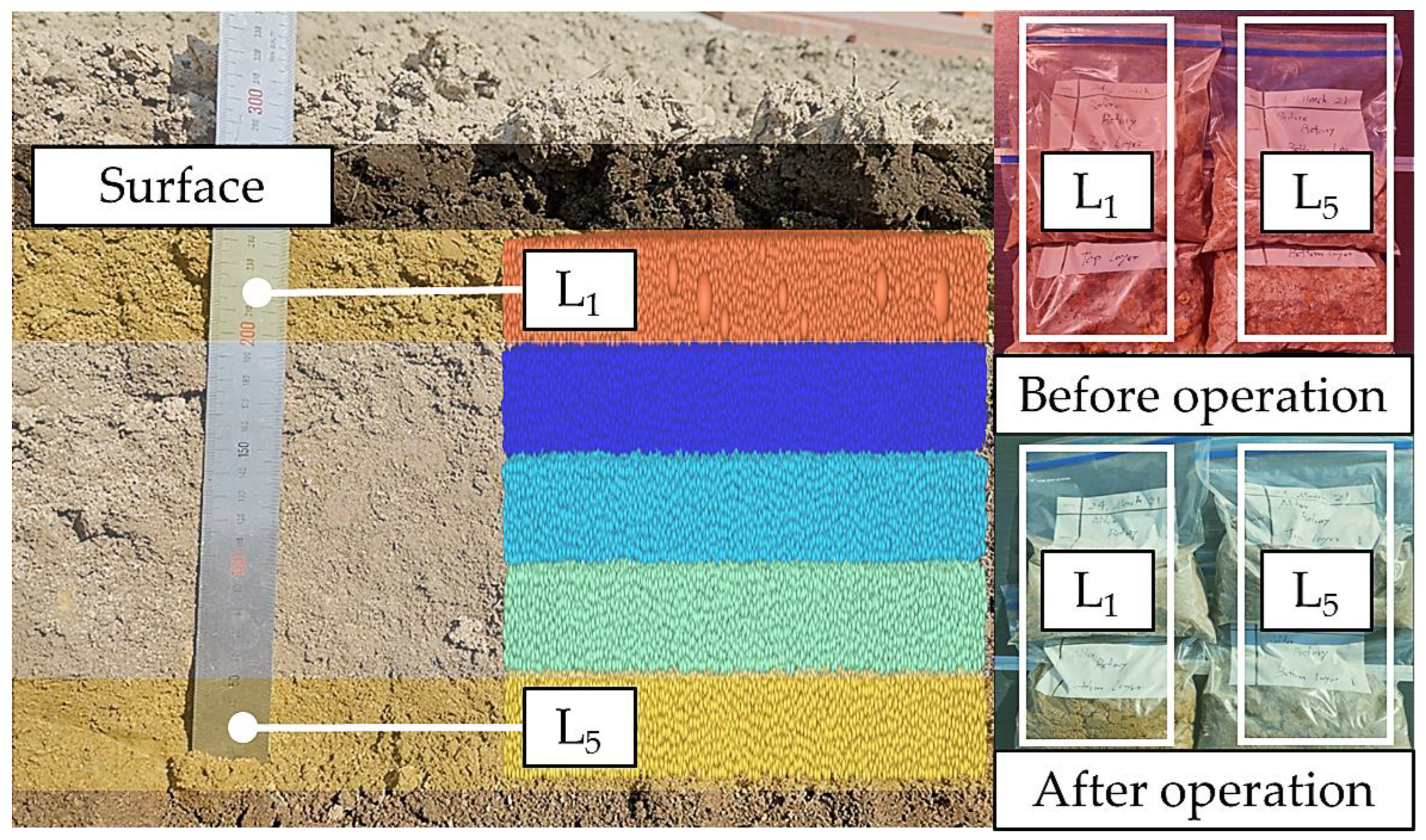 Agriculture 14 01399 g007 Agriculture 14 01399 g007