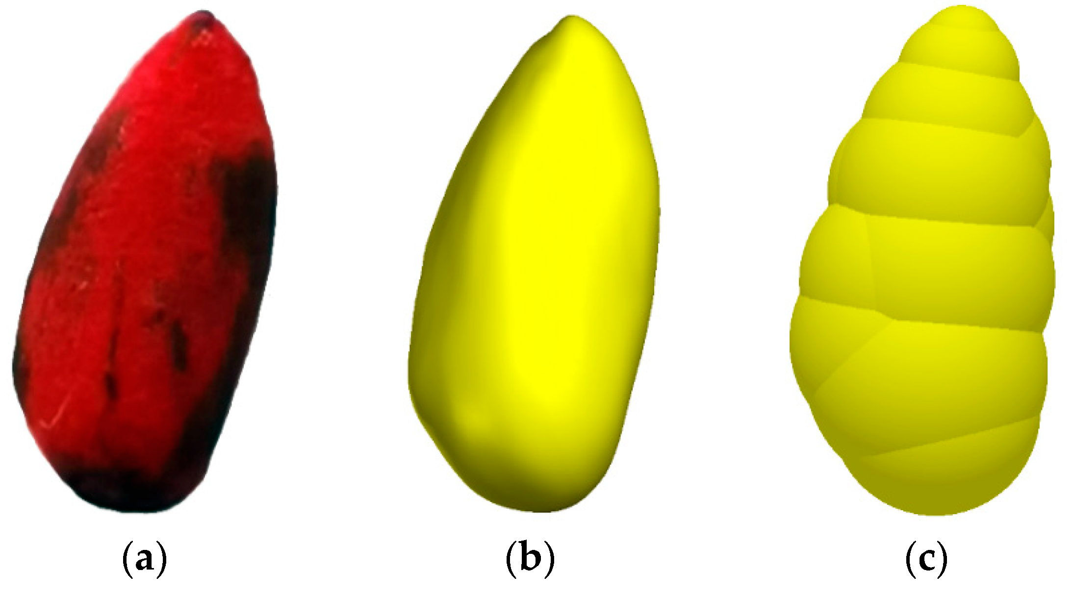 Agriculture 14 01411 g004