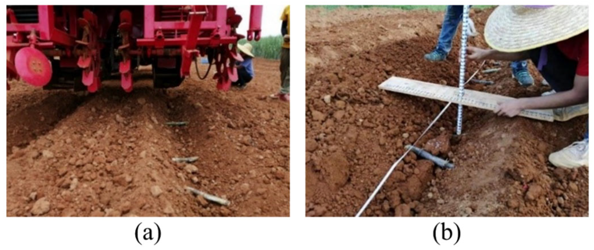 Agriculture 14 01416 g003 Agriculture 14 01416 g003