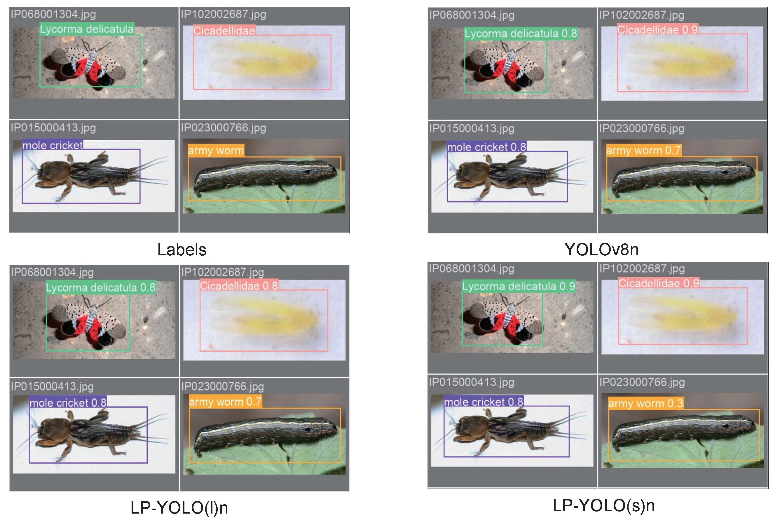 Agriculture 14 01420 g013