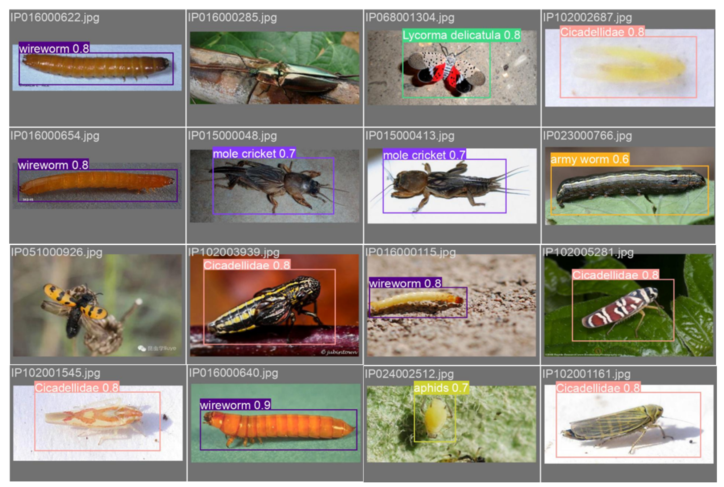 Agriculture 14 01420 g015