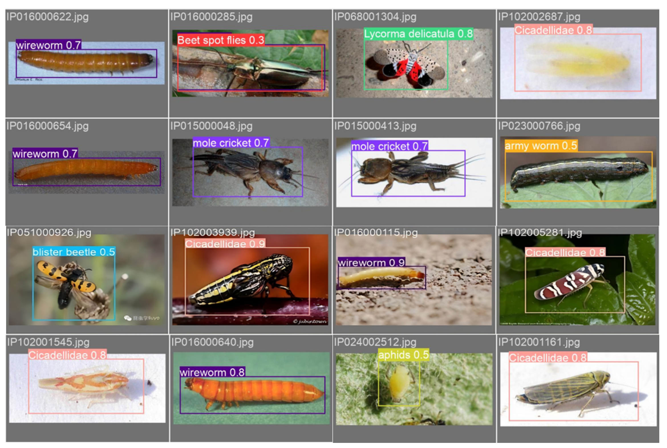 Agriculture 14 01420 g016