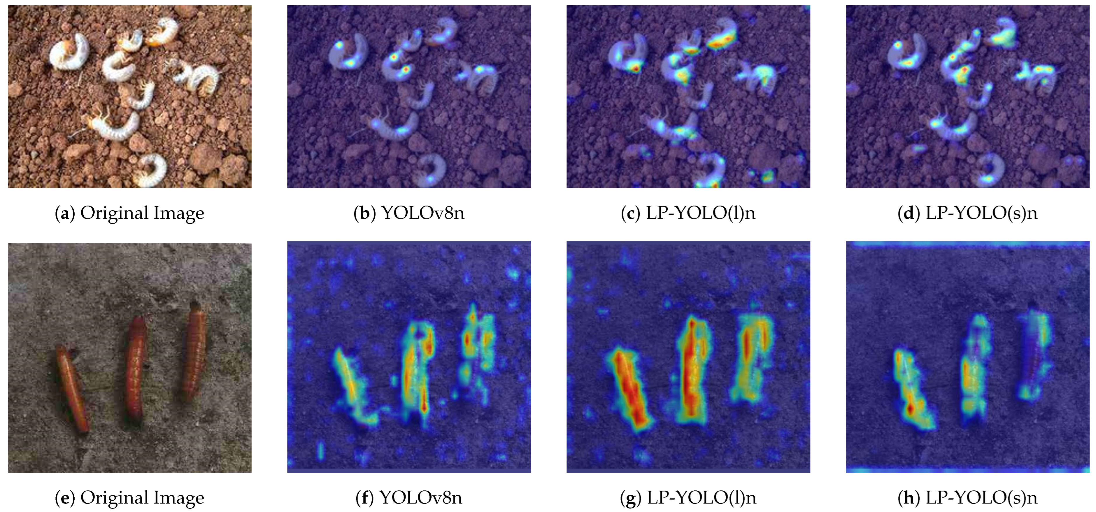 Agriculture 14 01420 g017