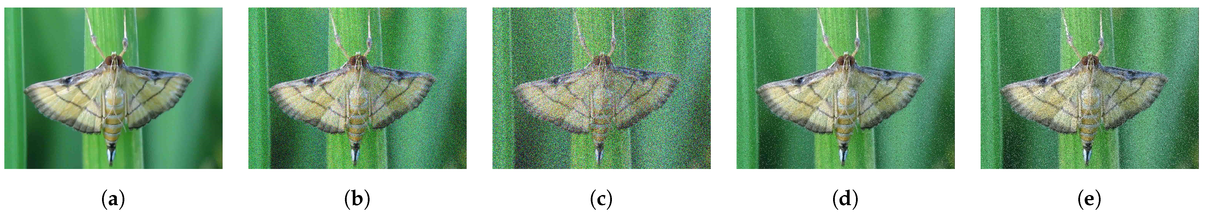 Agriculture 14 01420 g018