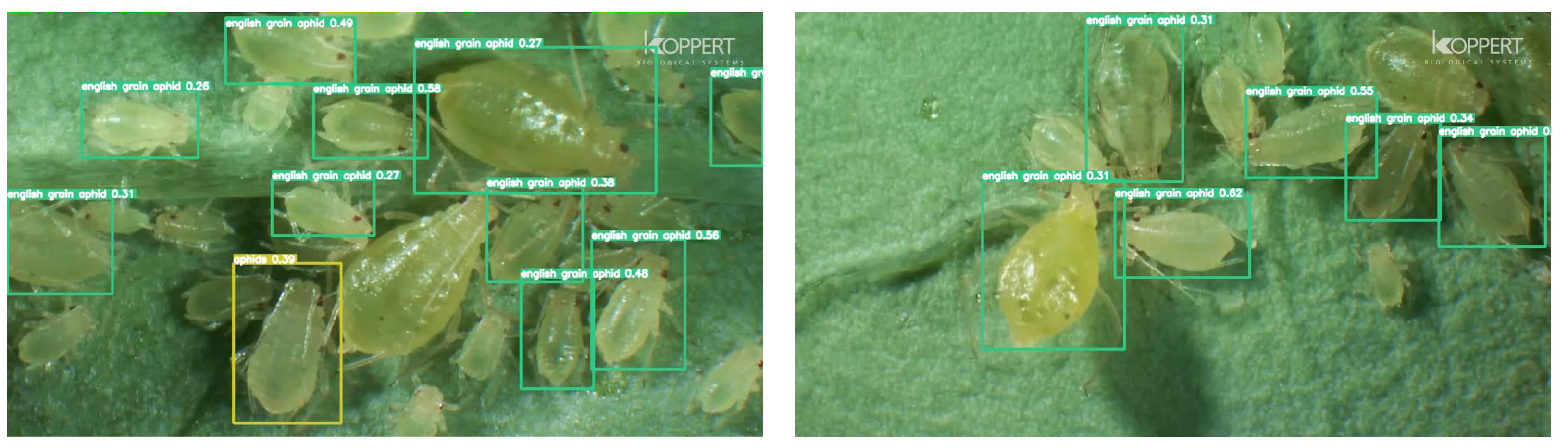 Agriculture 14 01420 g019