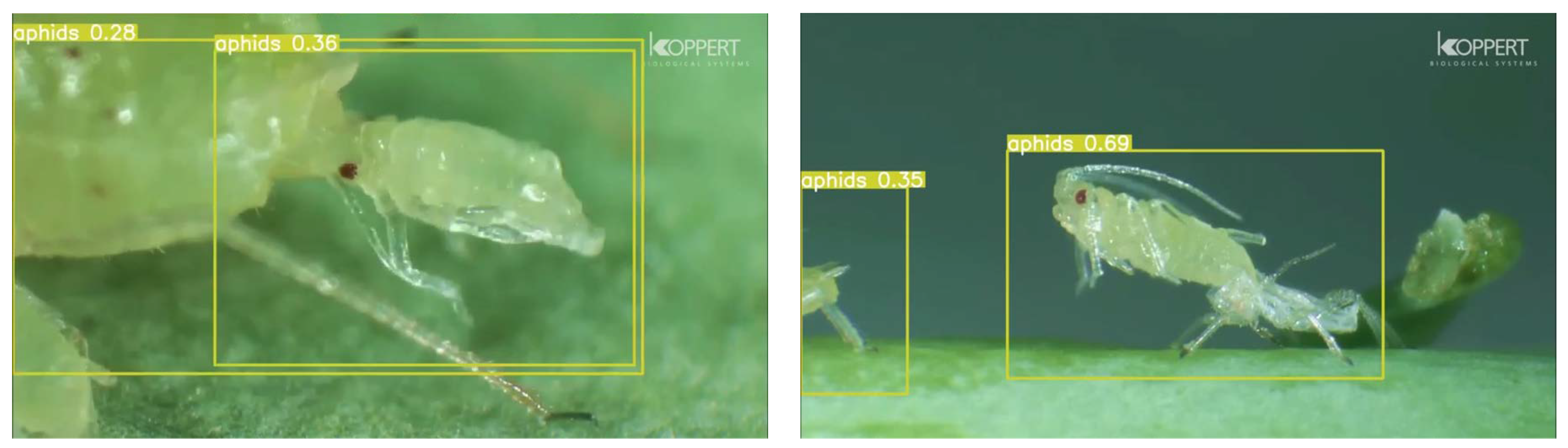 Agriculture 14 01420 g020