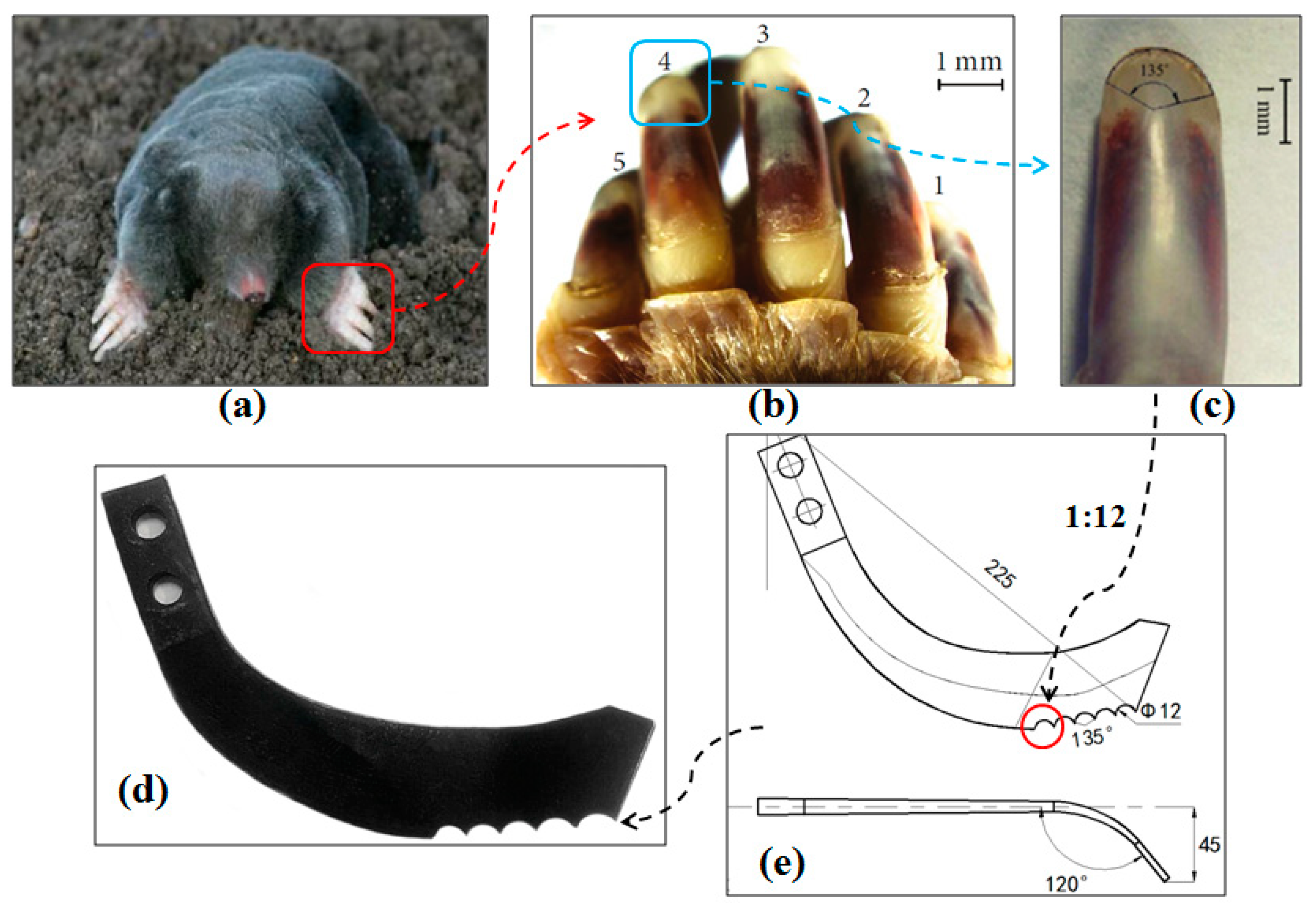 Agriculture 14 01426 g001