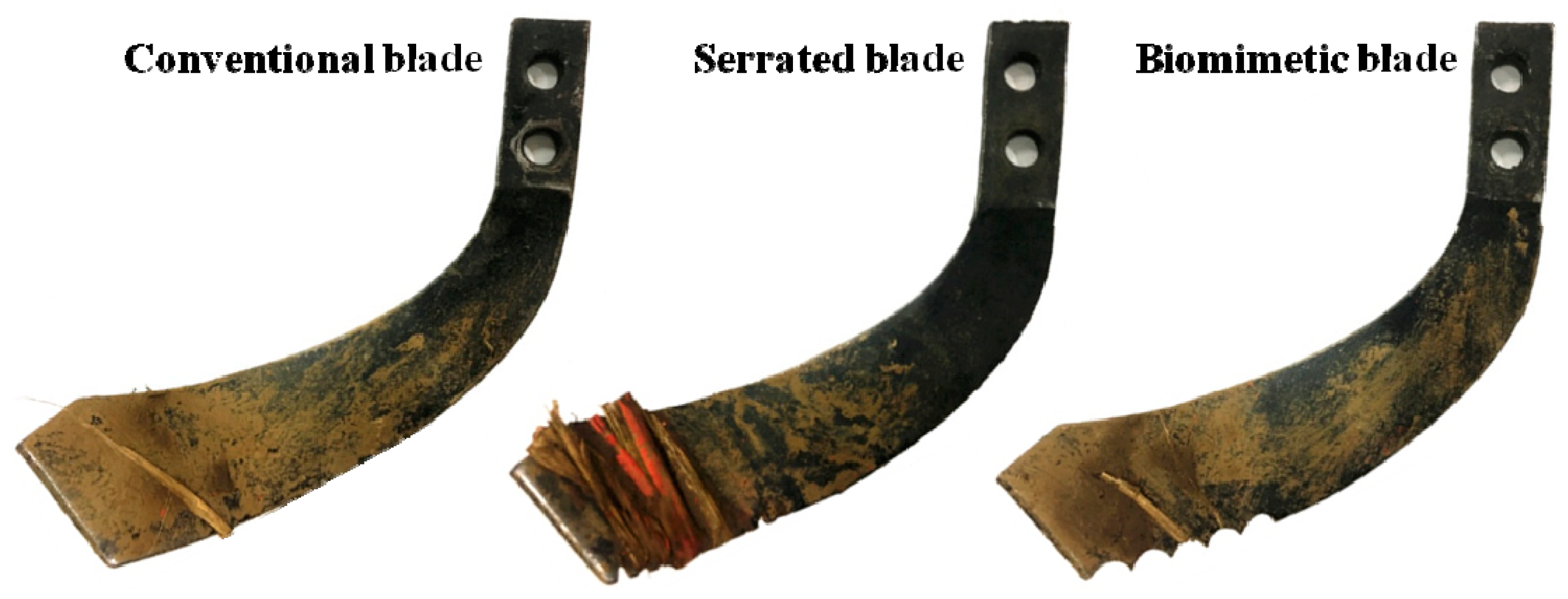 Agriculture 14 01426 g008