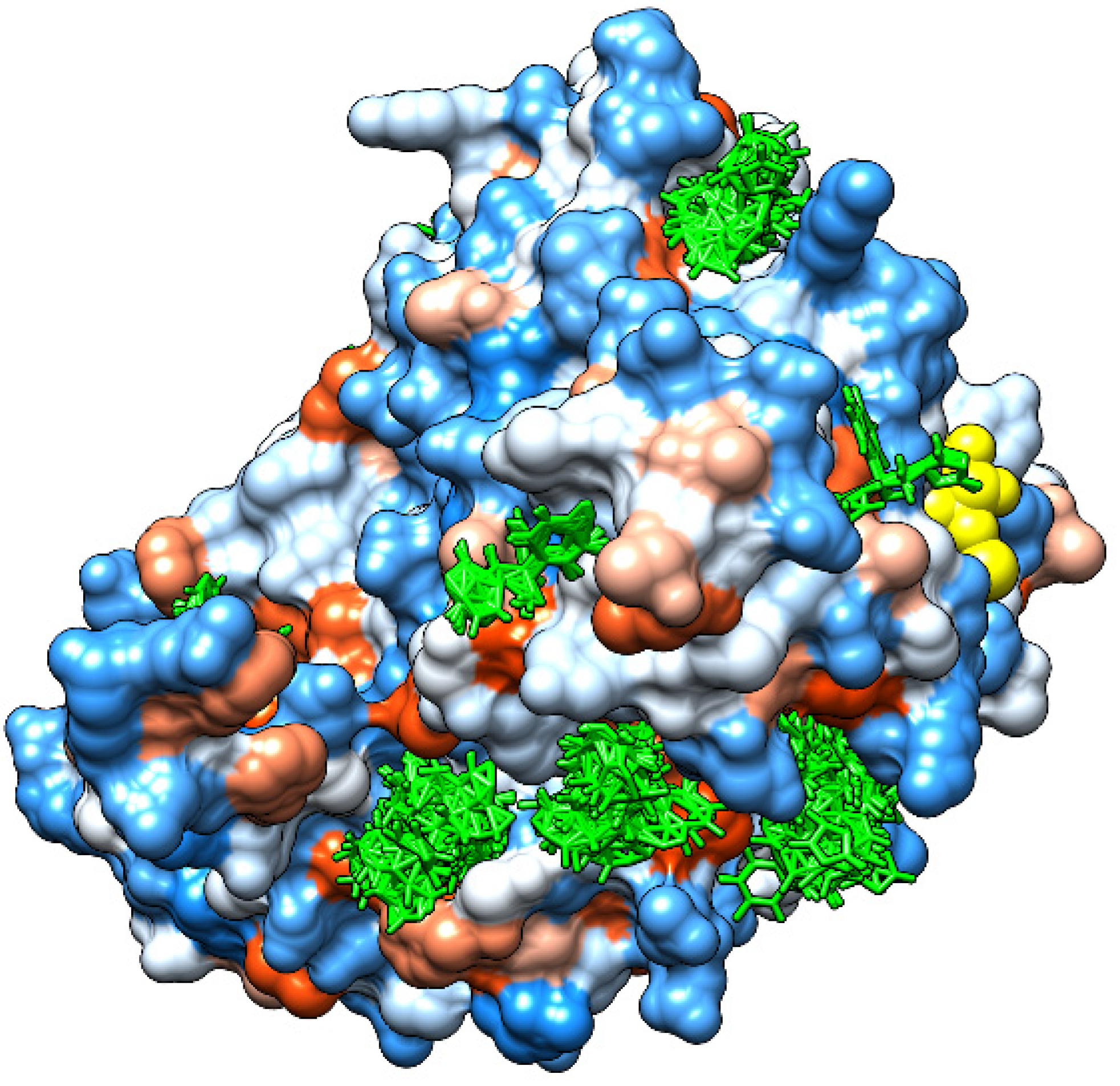 Agriculture 14 01445 g010