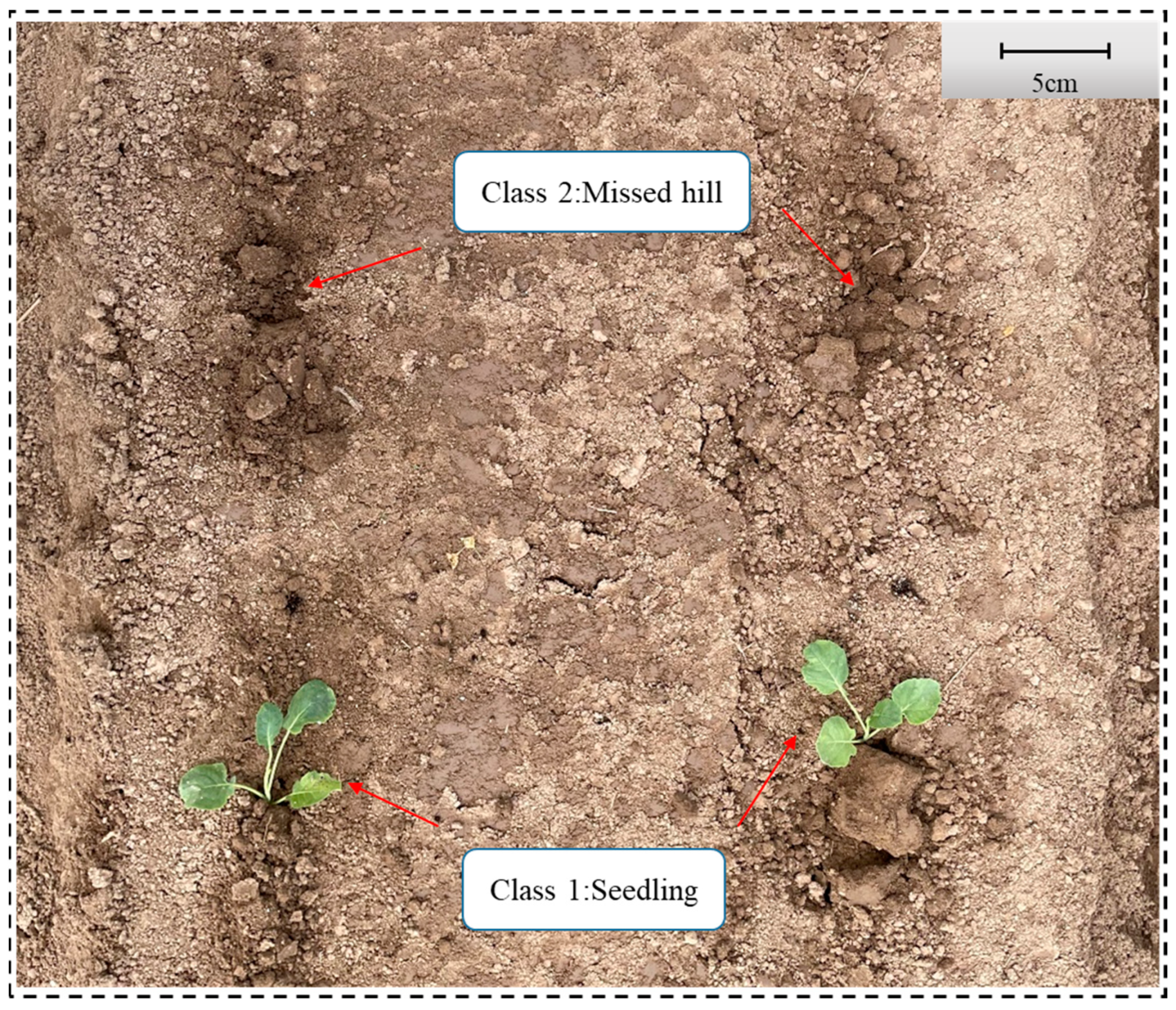 Agriculture 14 01446 g001