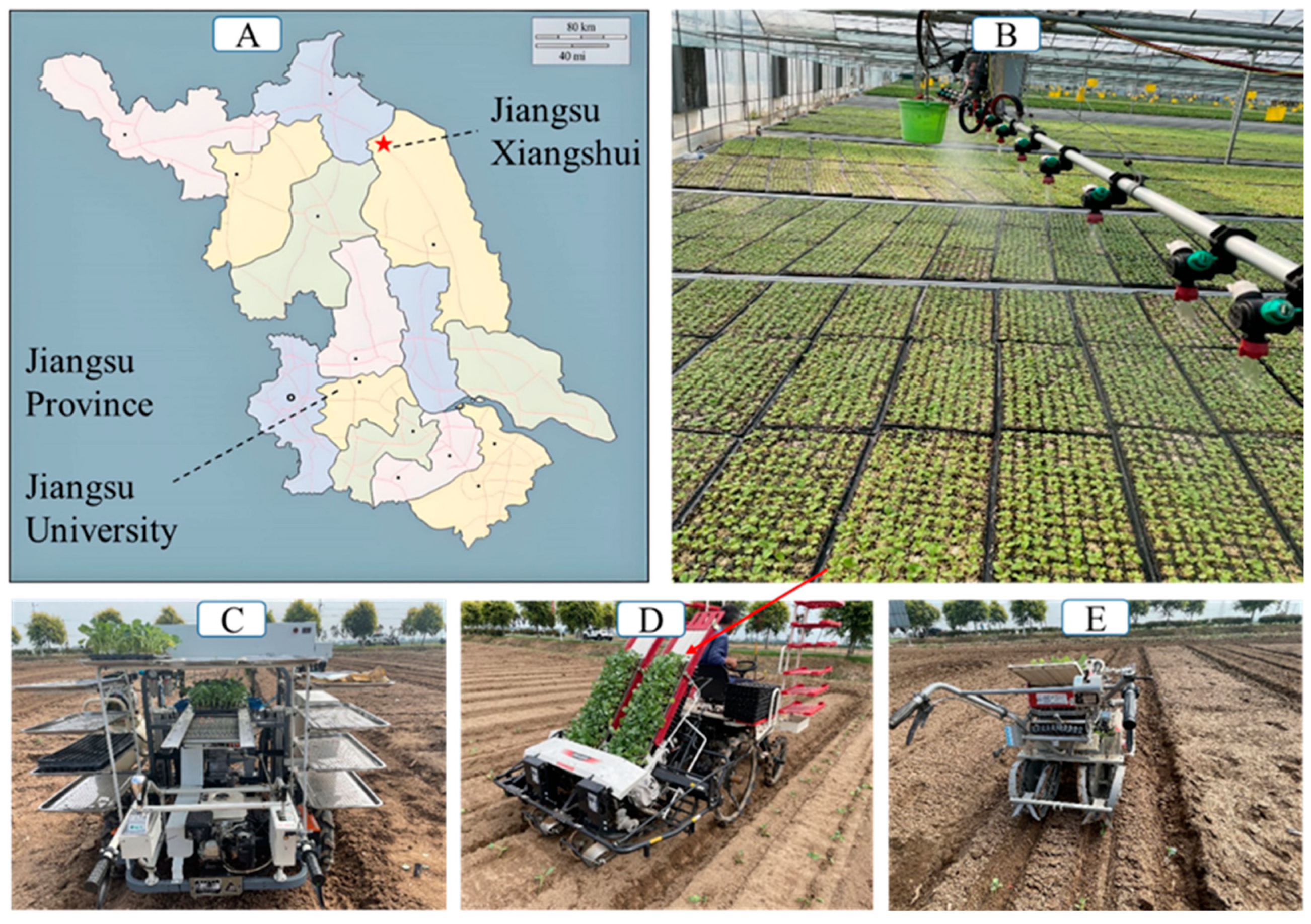 Agriculture 14 01446 g002