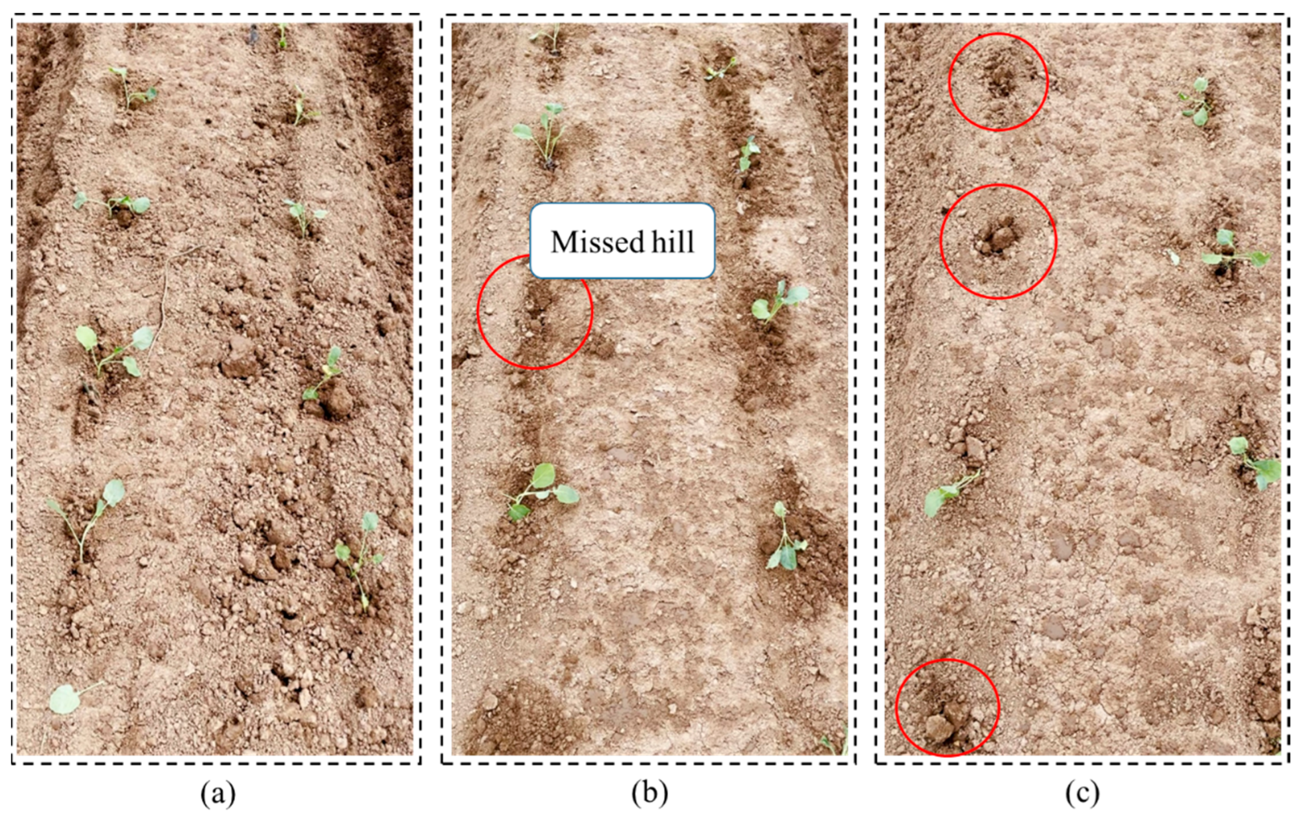 Agriculture 14 01446 g003
