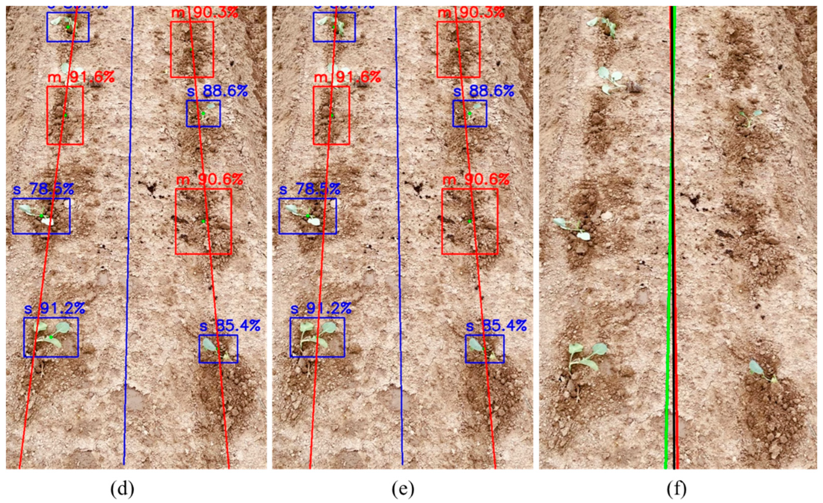 Agriculture 14 01446 g011b
