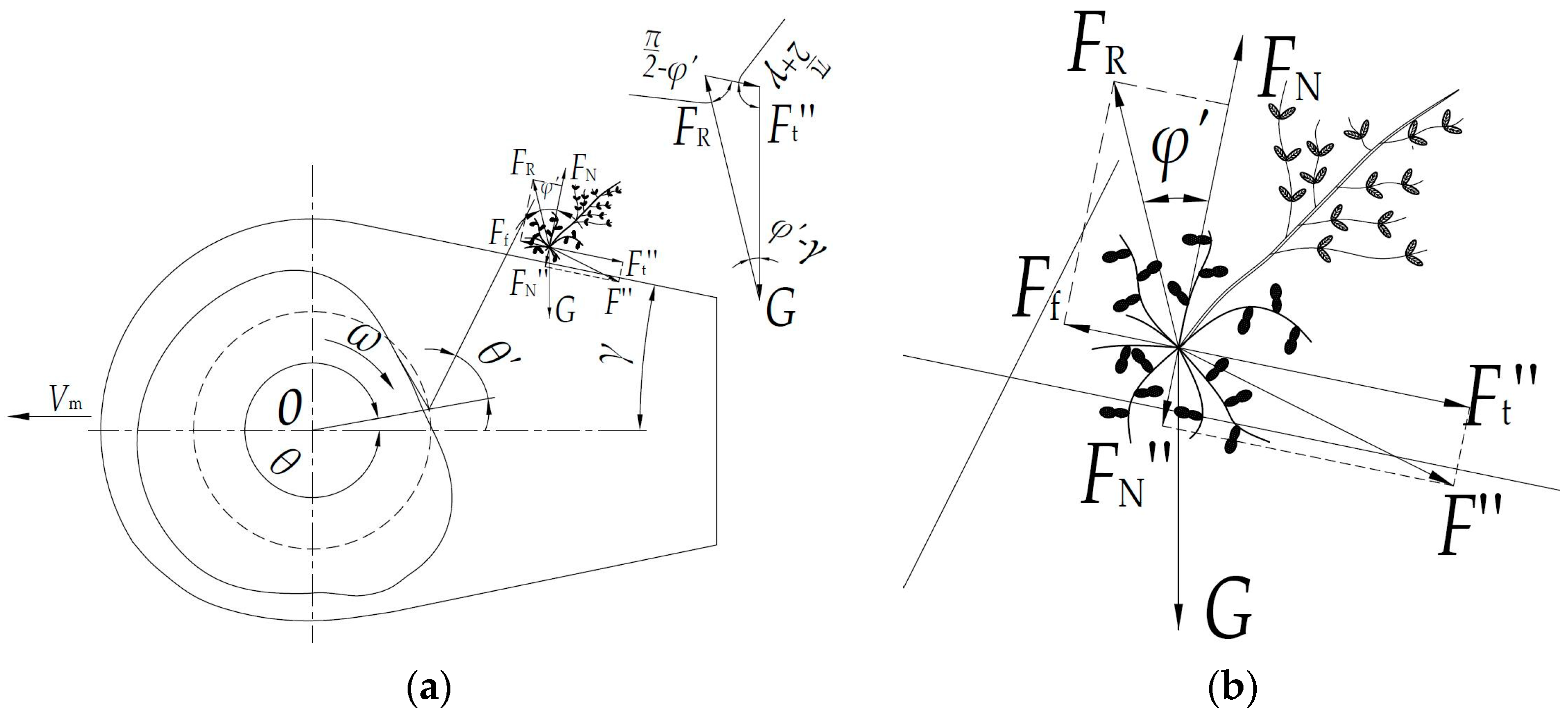 Agriculture 14 01459 g006