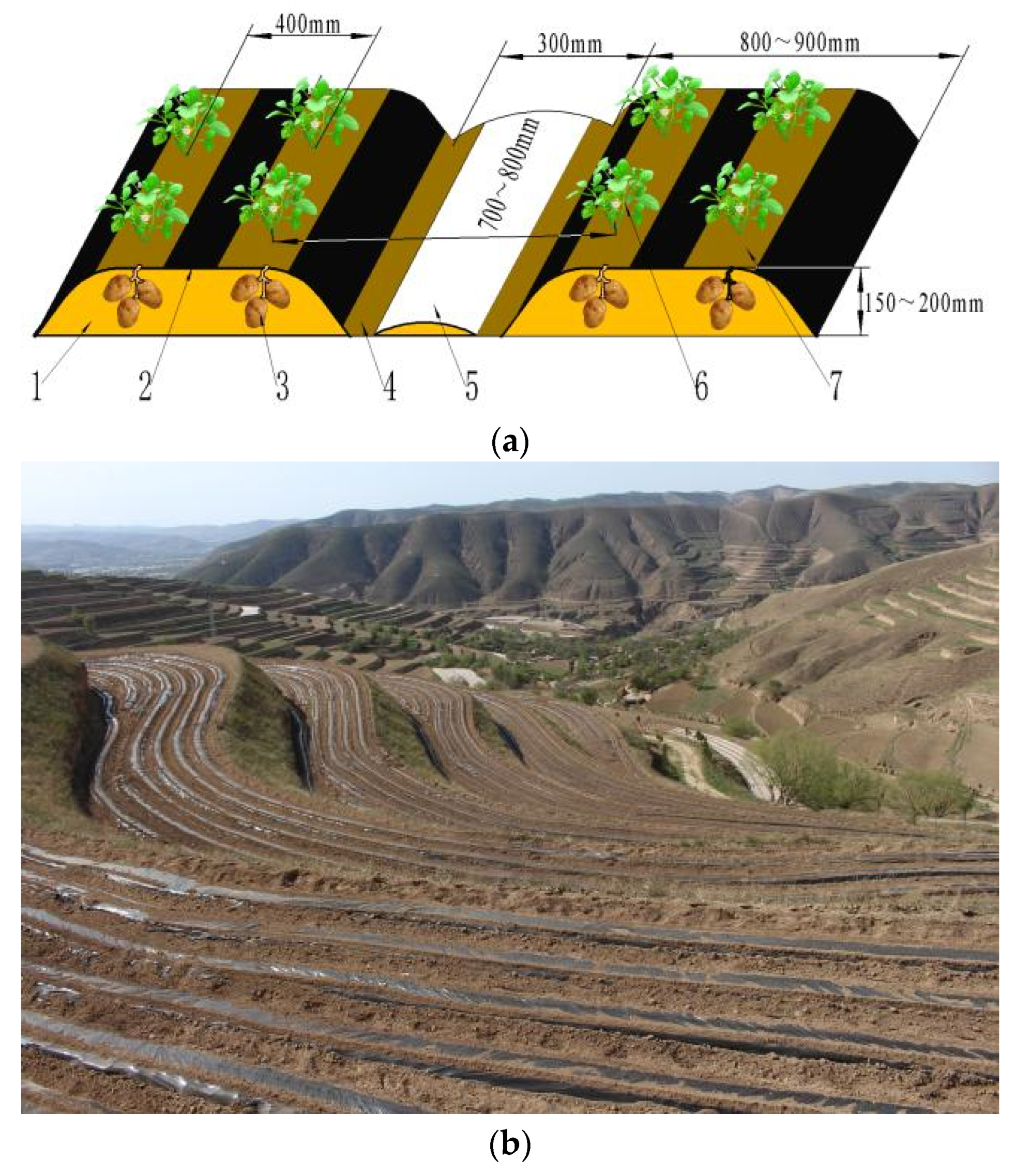 Agriculture 14 01461 g001