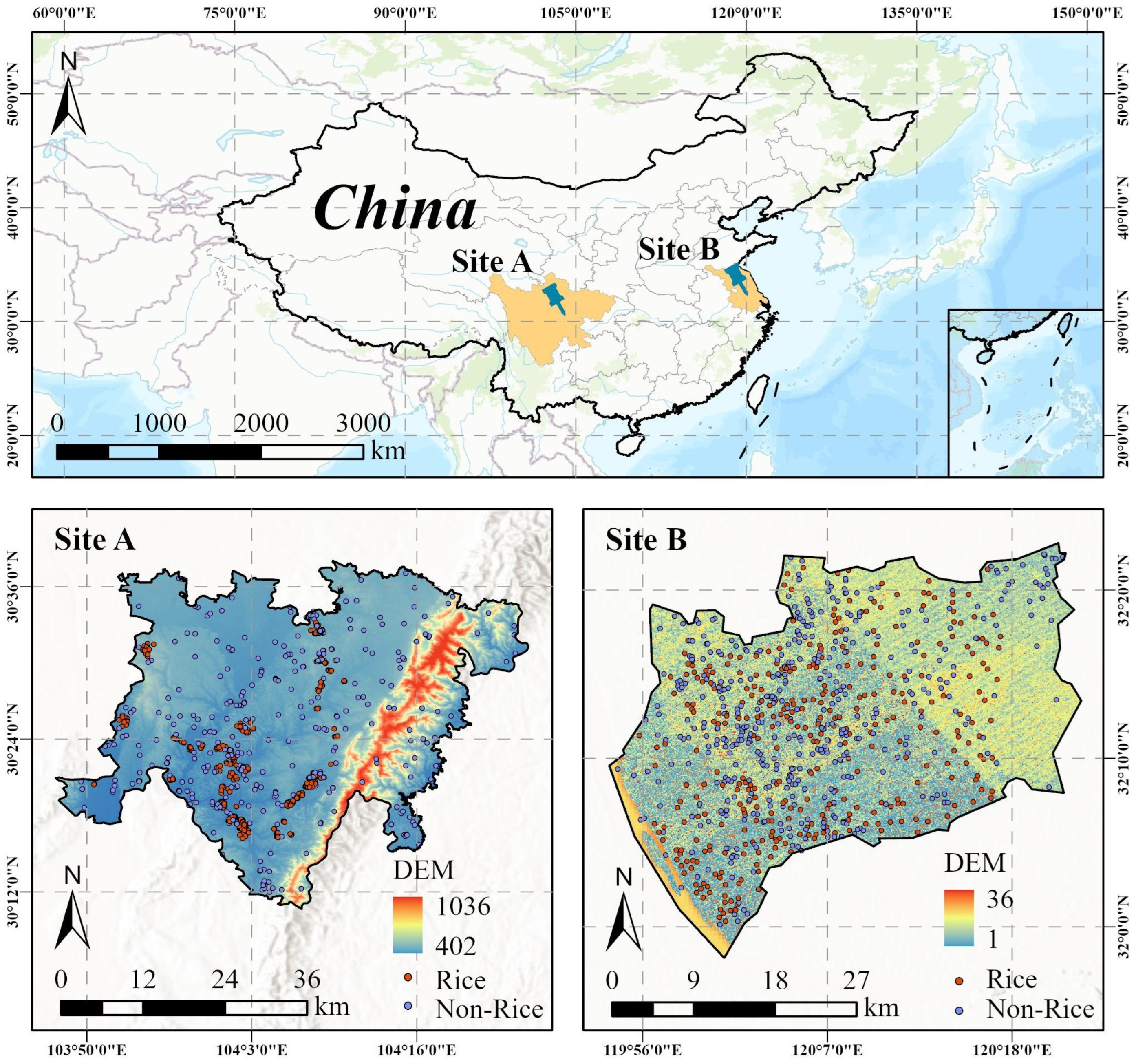 Agriculture 14 01468 g001
