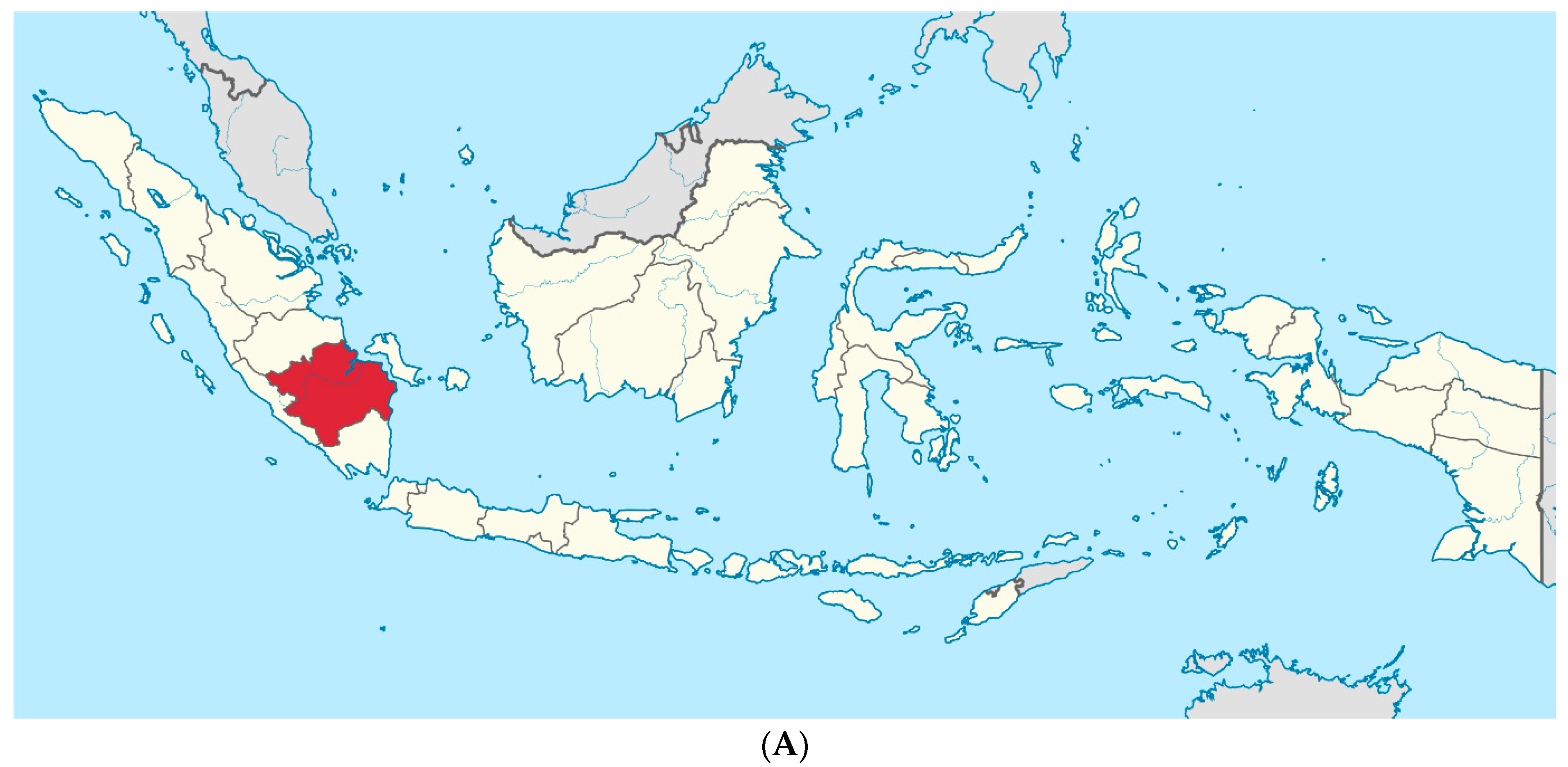 Agriculture 14 01477 g001a Agriculture 14 01477 g001a