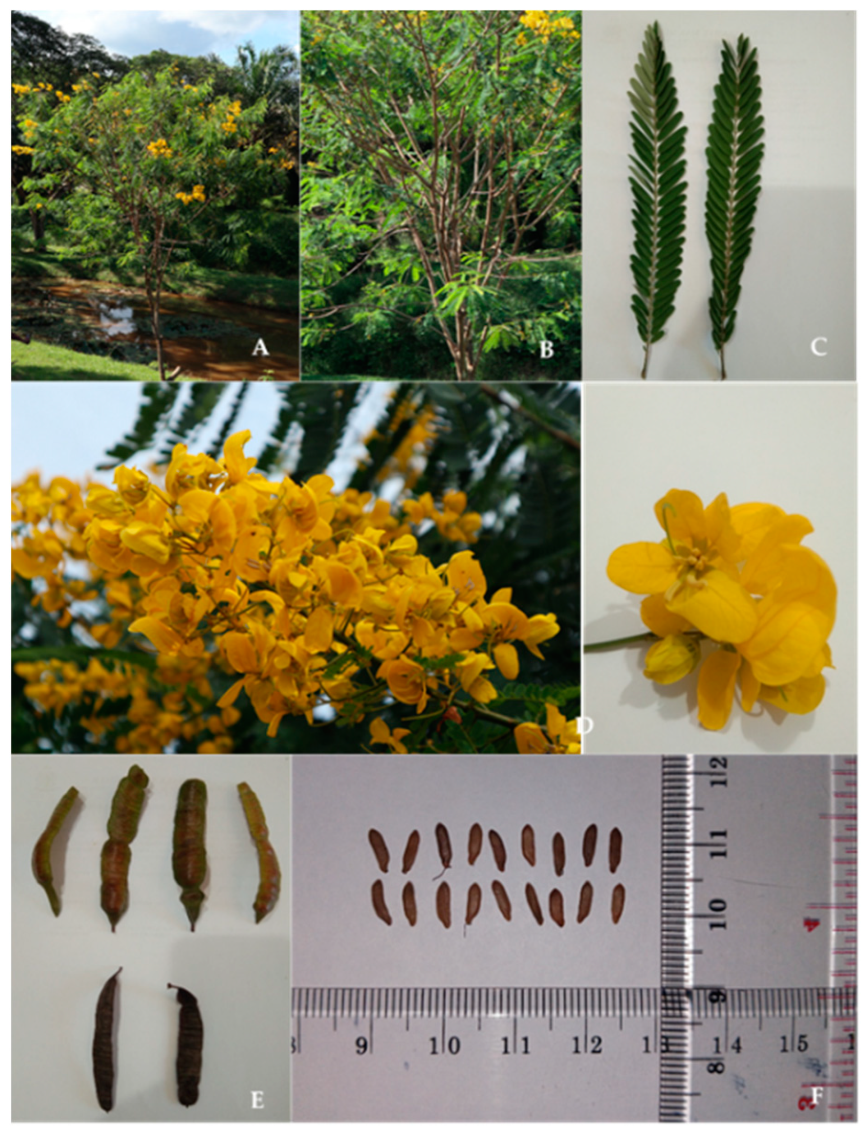 Agriculture 14 01477 g003 Agriculture 14 01477 g003