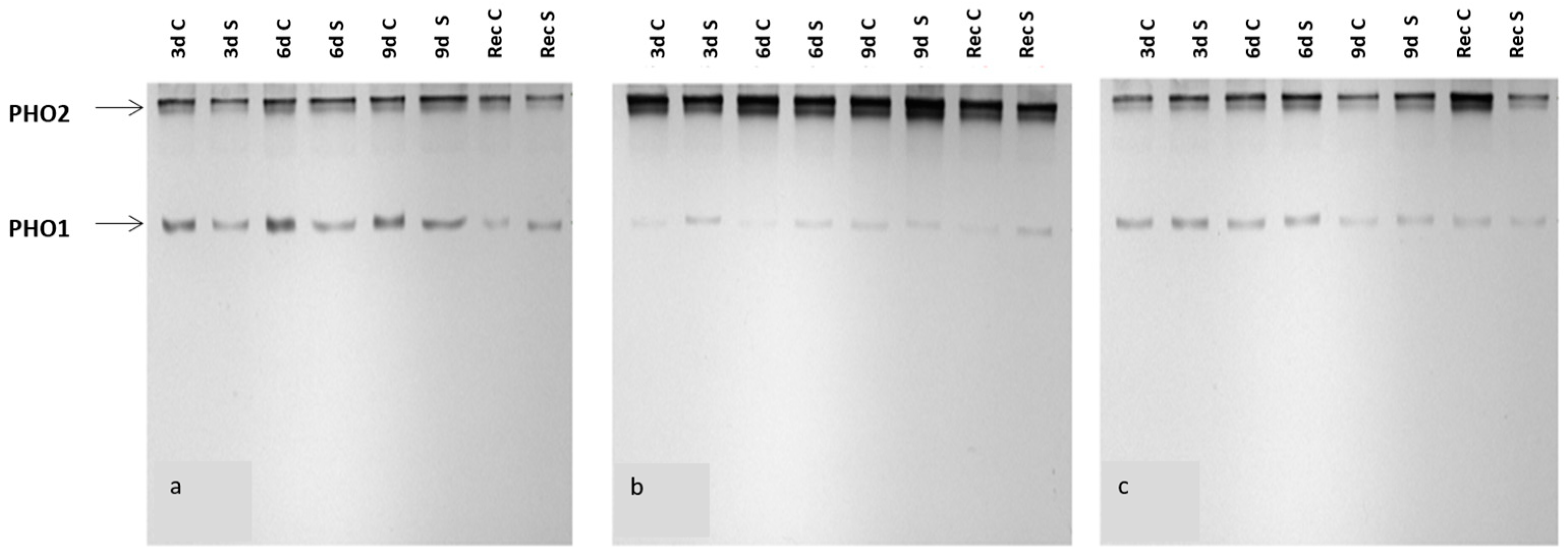 Agriculture 14 01491 g007