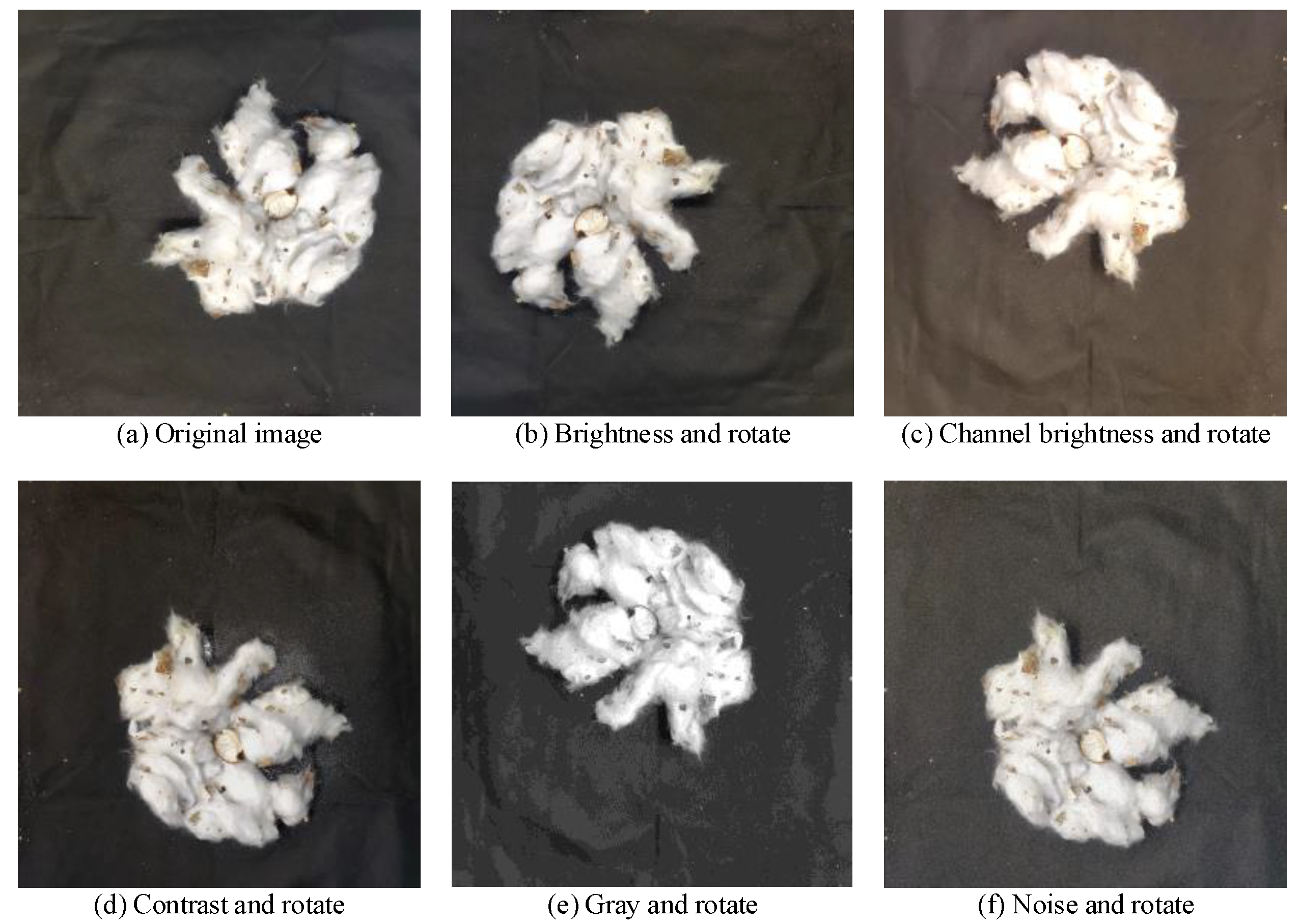 Agriculture 14 01499 g004