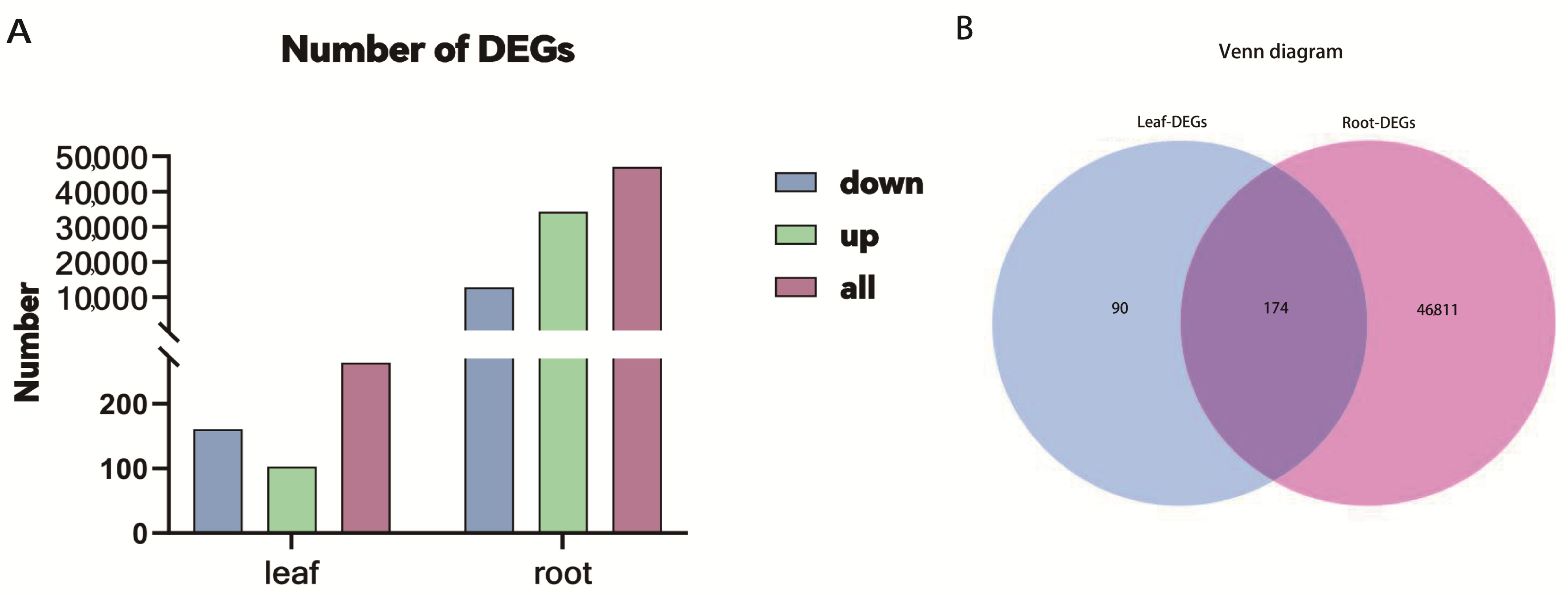 Agriculture 14 01504 g002