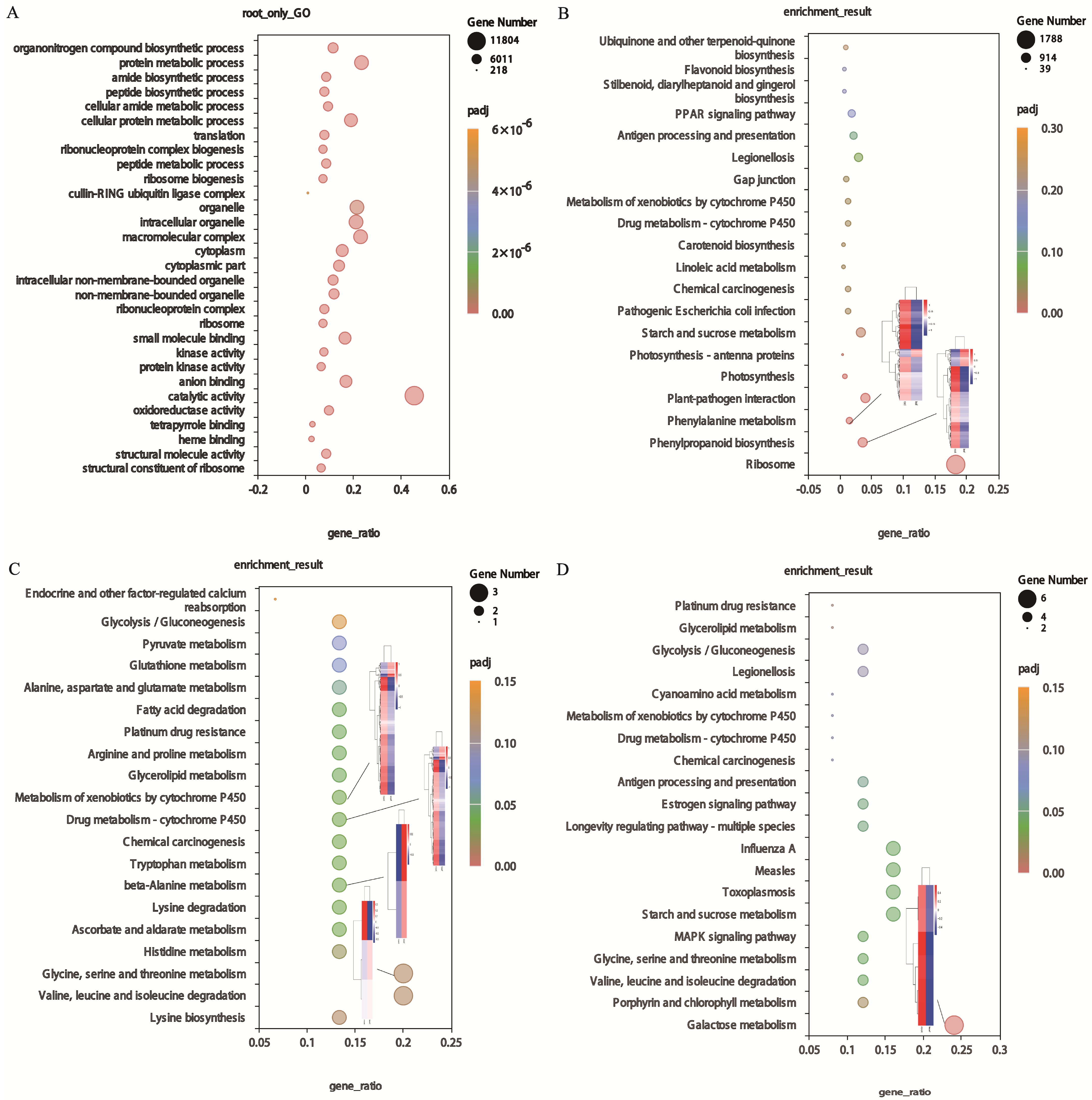 Agriculture 14 01504 g004