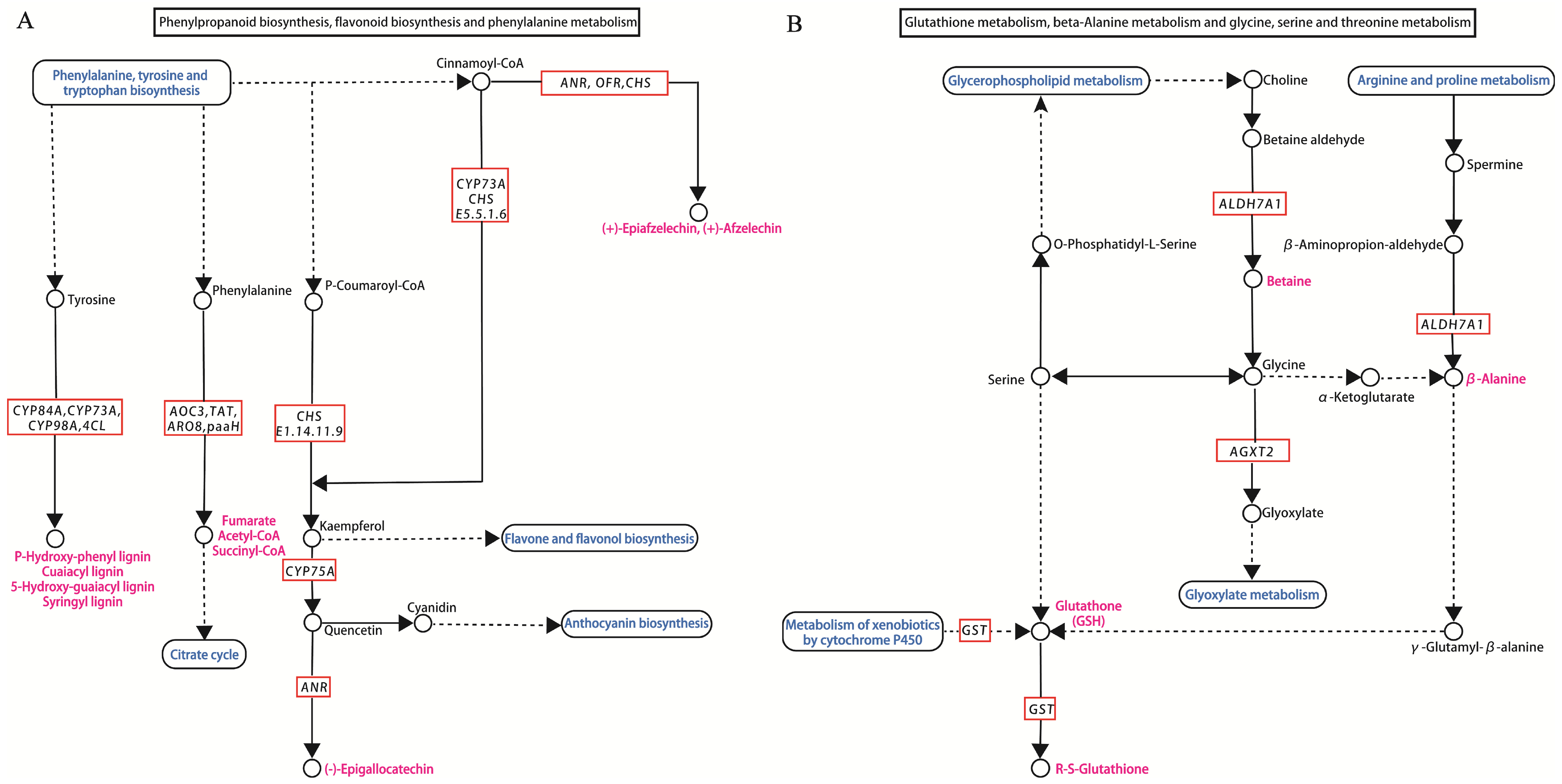 Agriculture 14 01504 g005