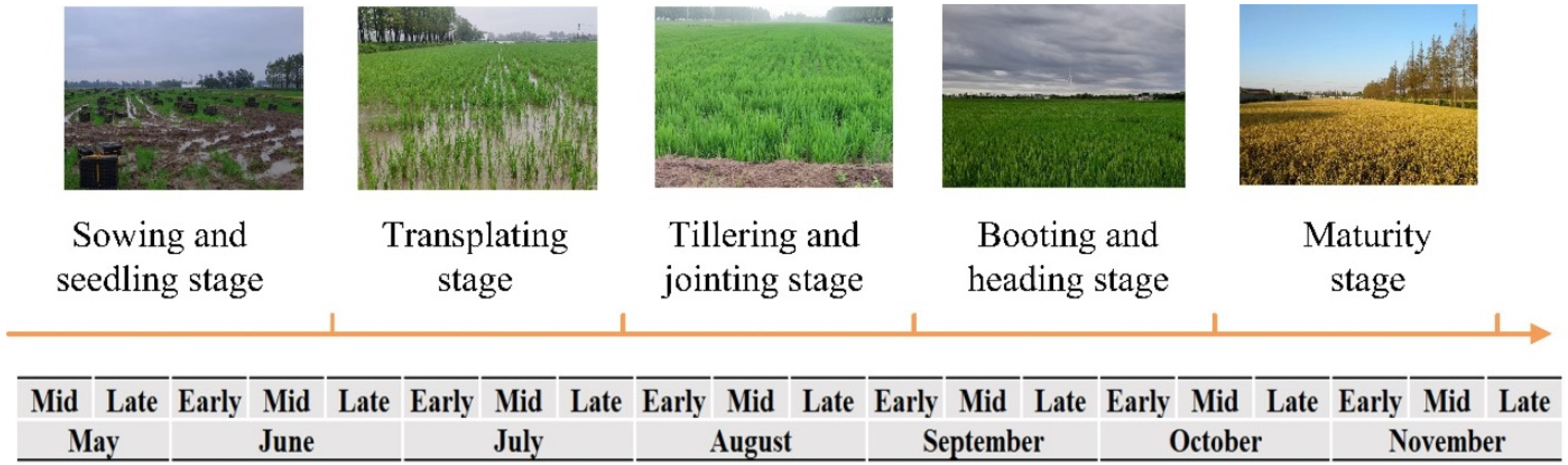 Agriculture 14 01505 g003