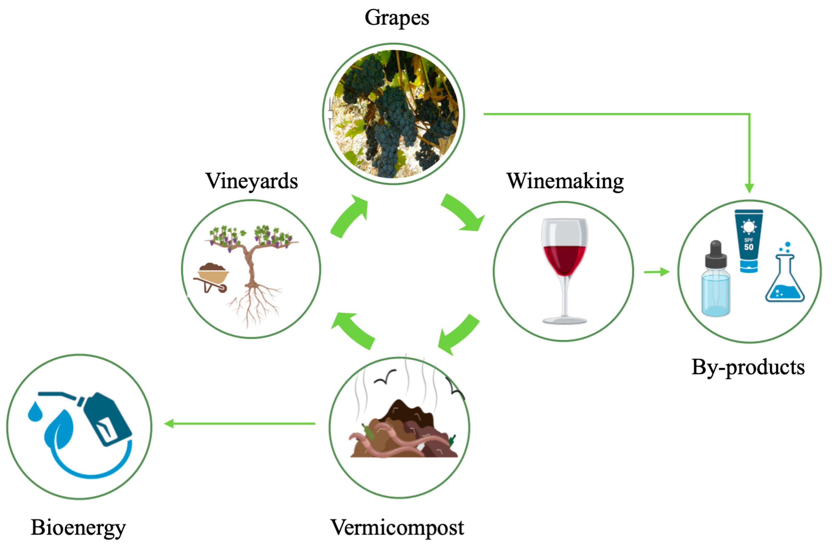 Agriculture 14 01529 g001