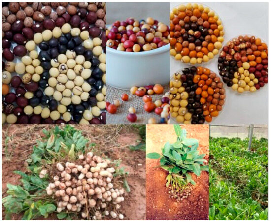 Agriculture 14 01541 g0a1