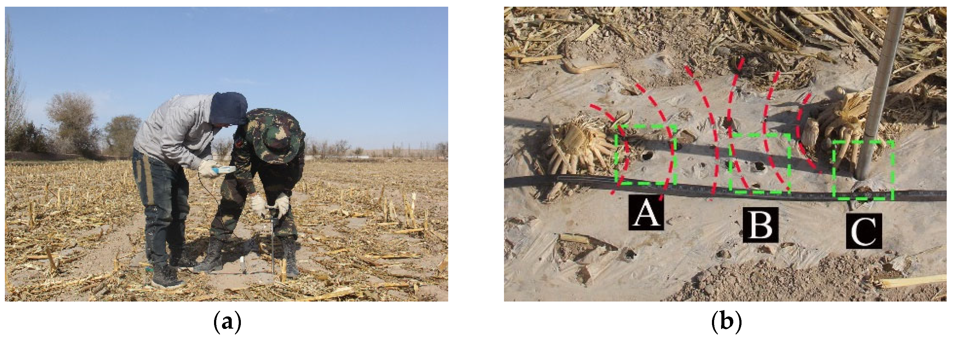 Agriculture 14 01542 g005