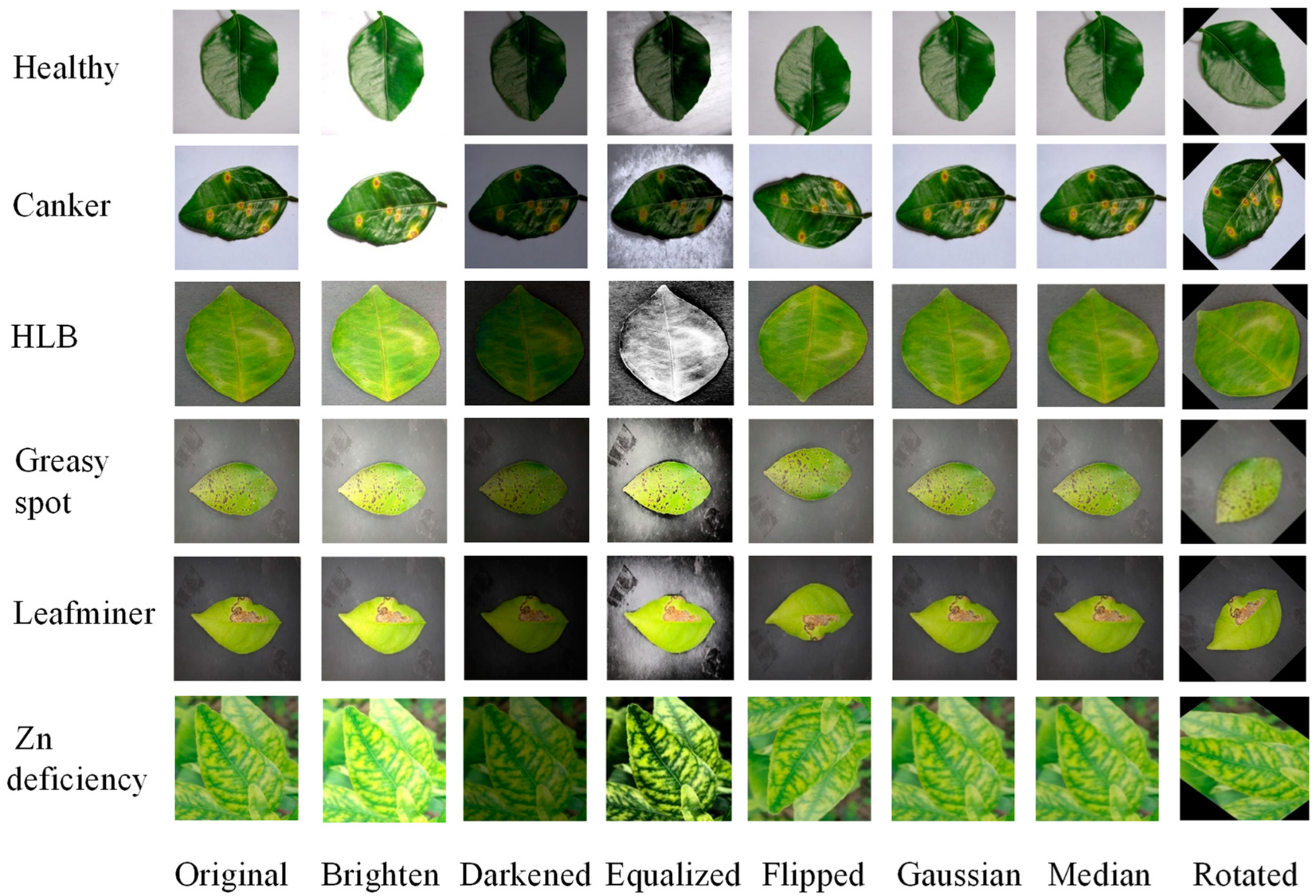 Agriculture 14 01549 g001