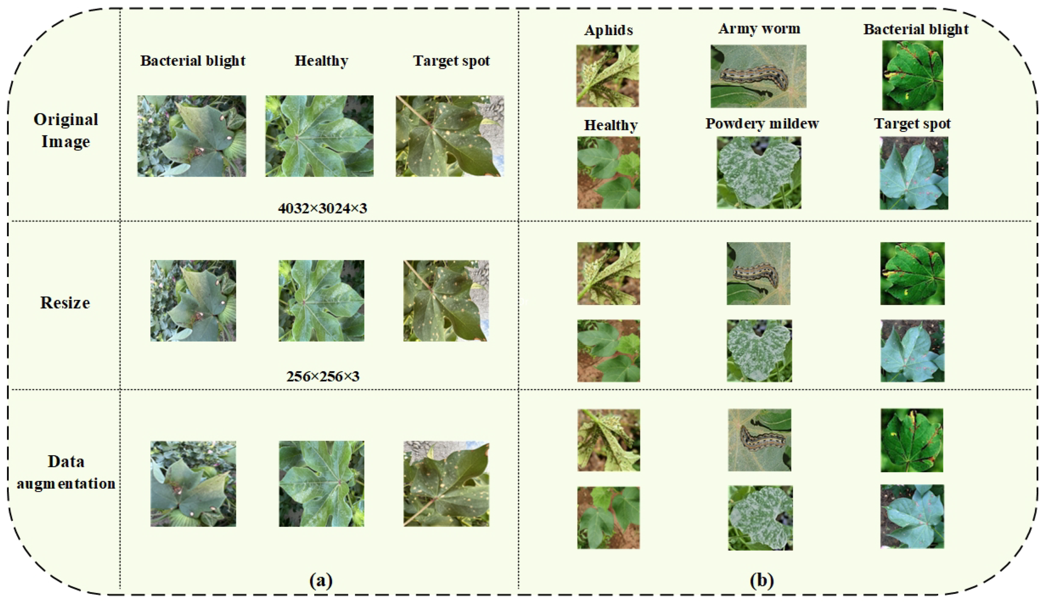Agriculture 14 01577 g002