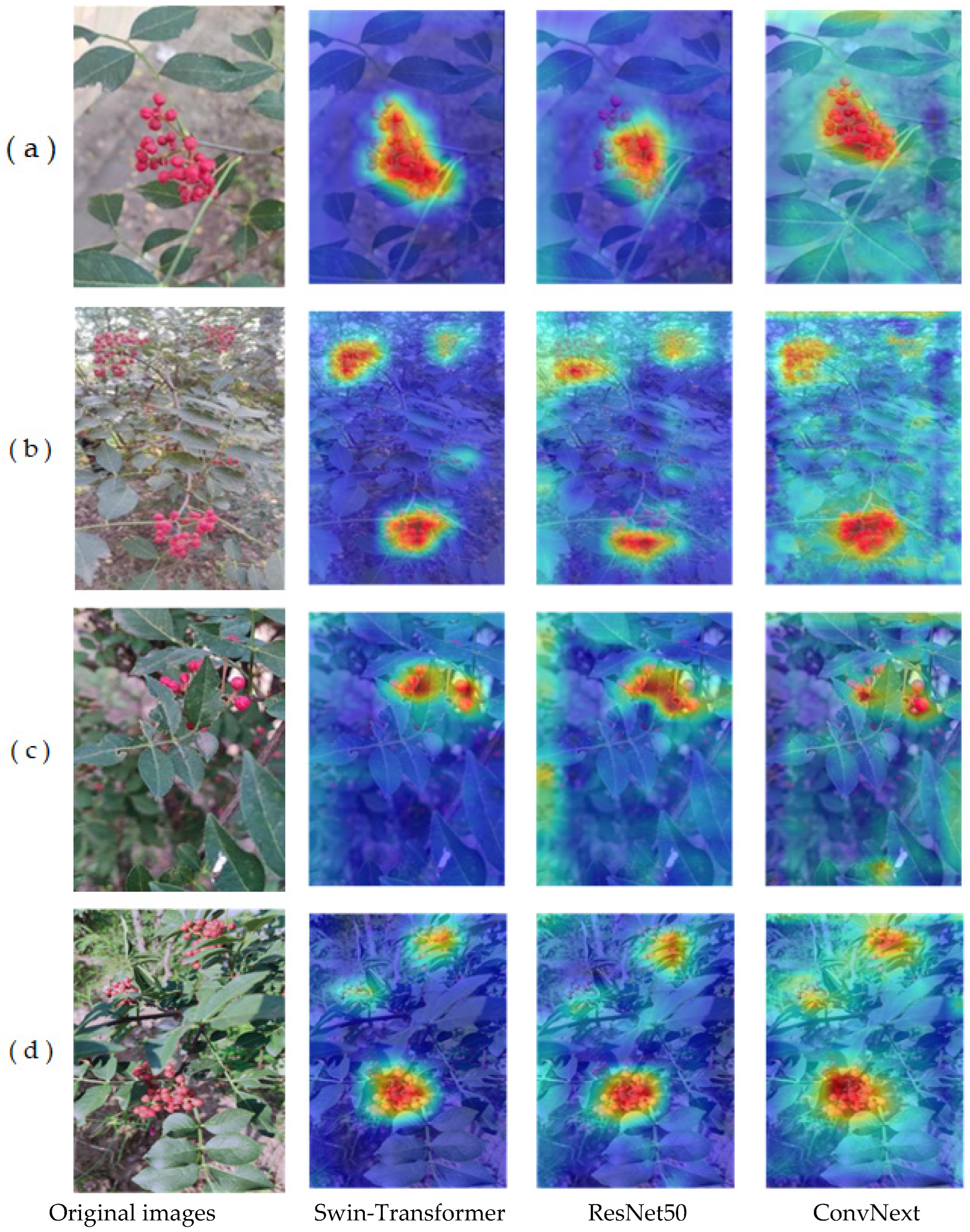 Agriculture 14 01585 g010