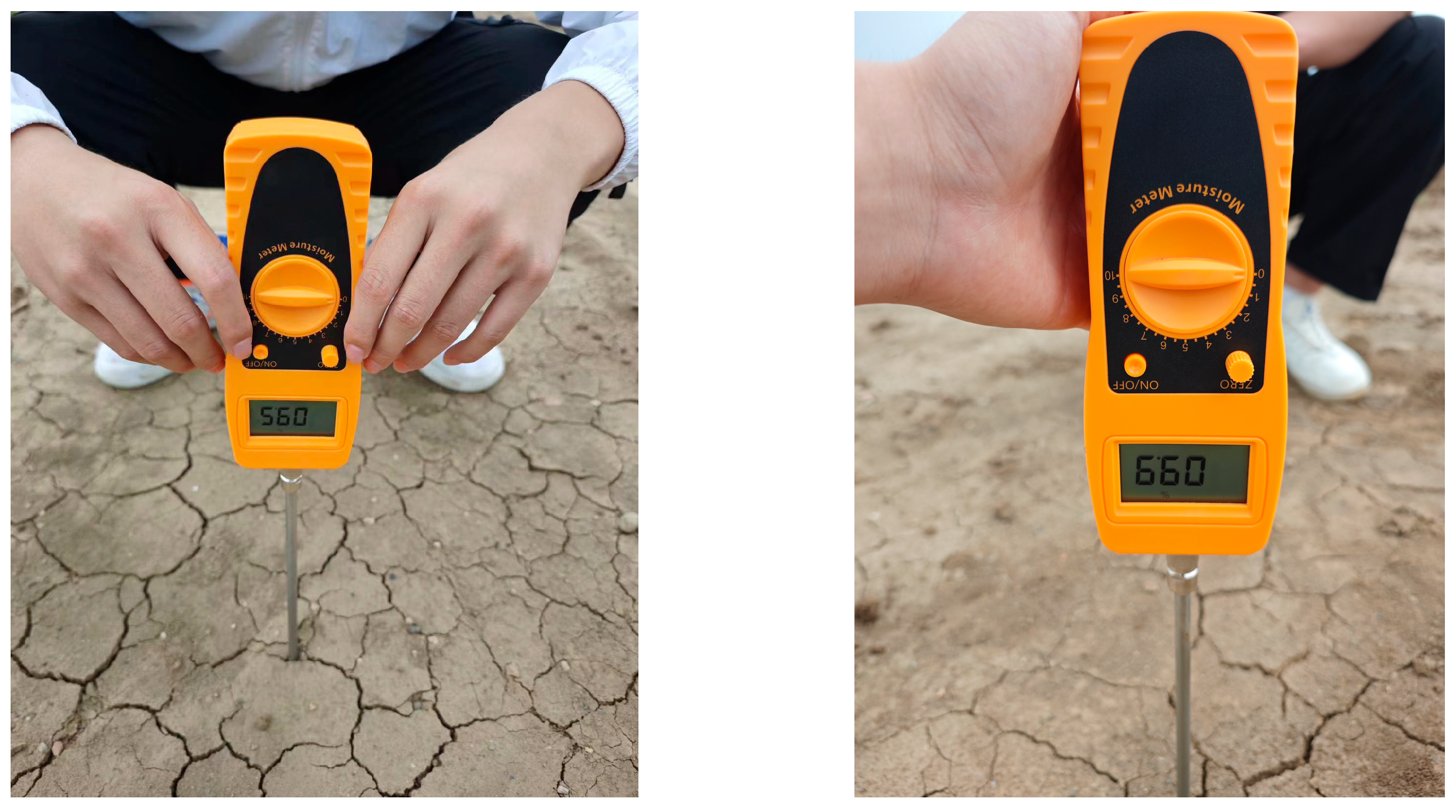 Agriculture 14 01604 g011