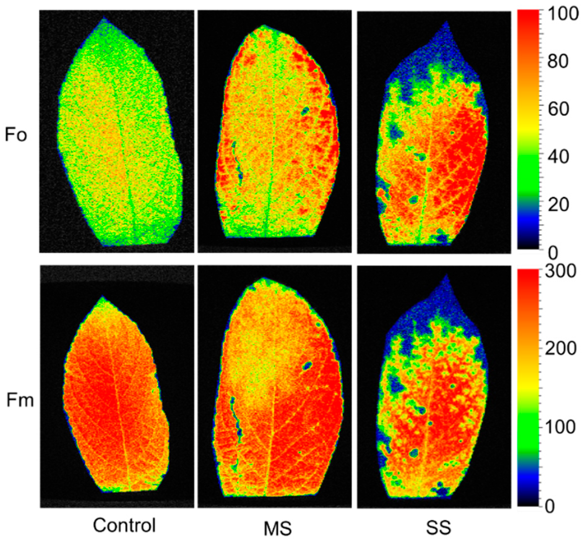 Agriculture 14 01606 g003
